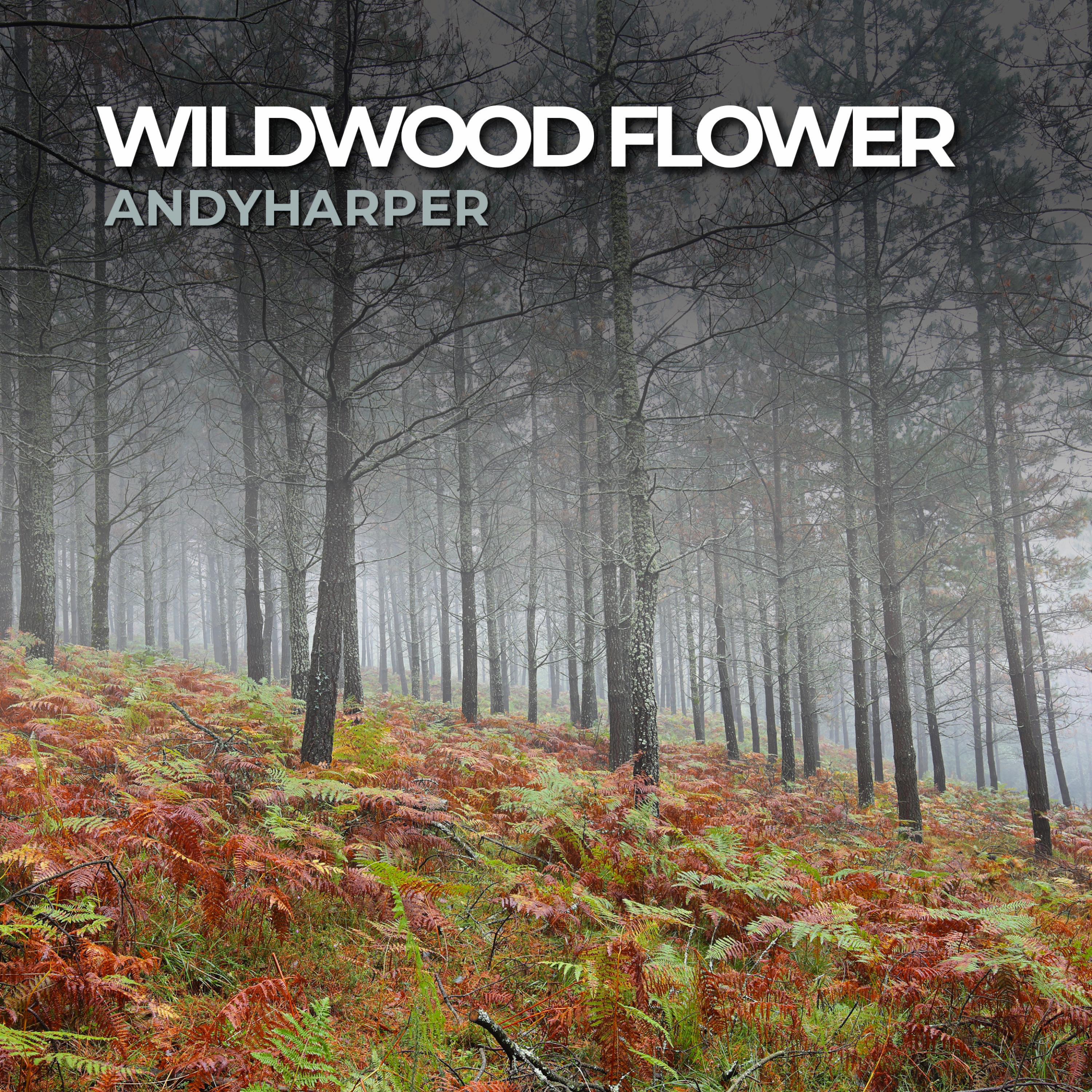 Релиз Wildwood Flower