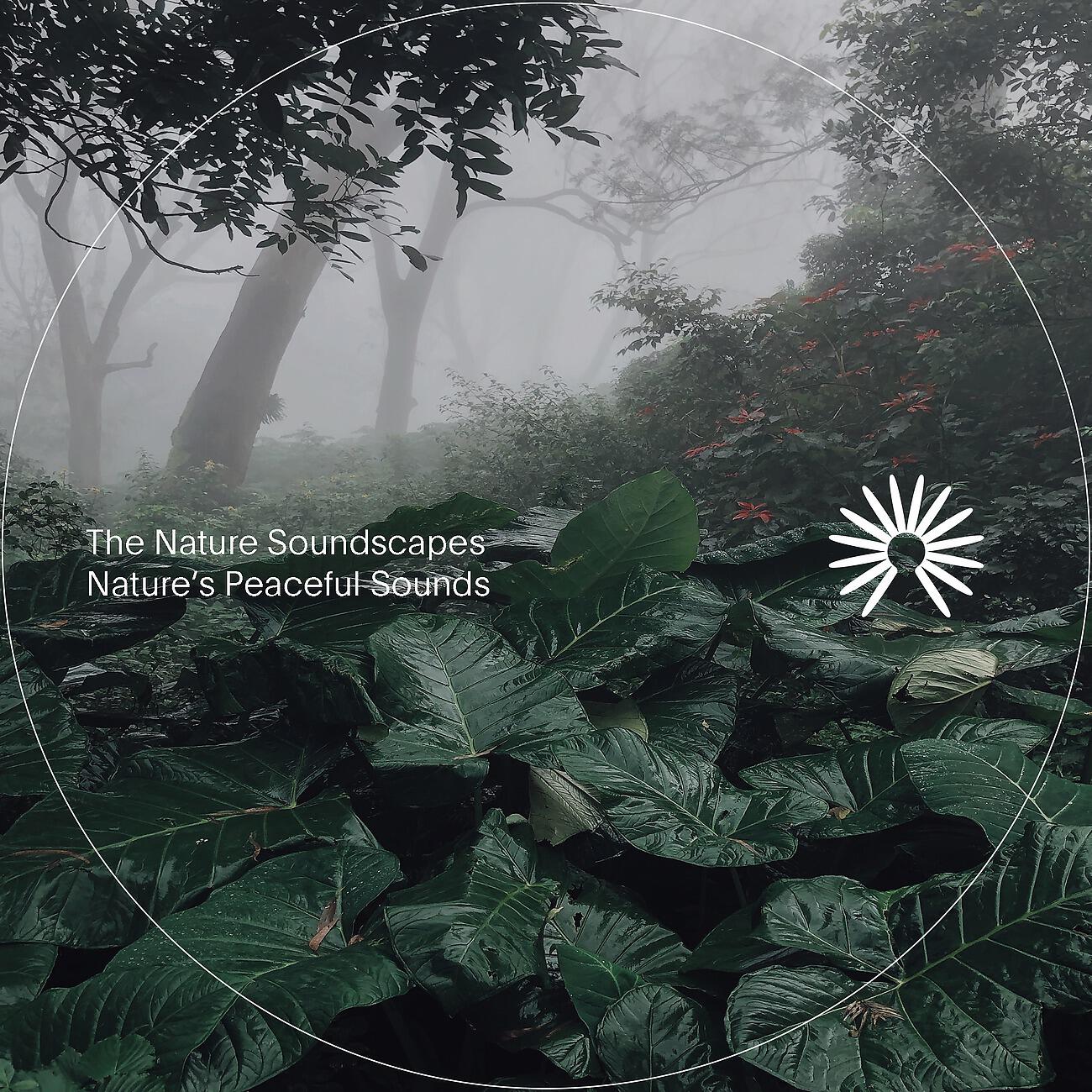 Релиз Nature's Peaceful Sounds
