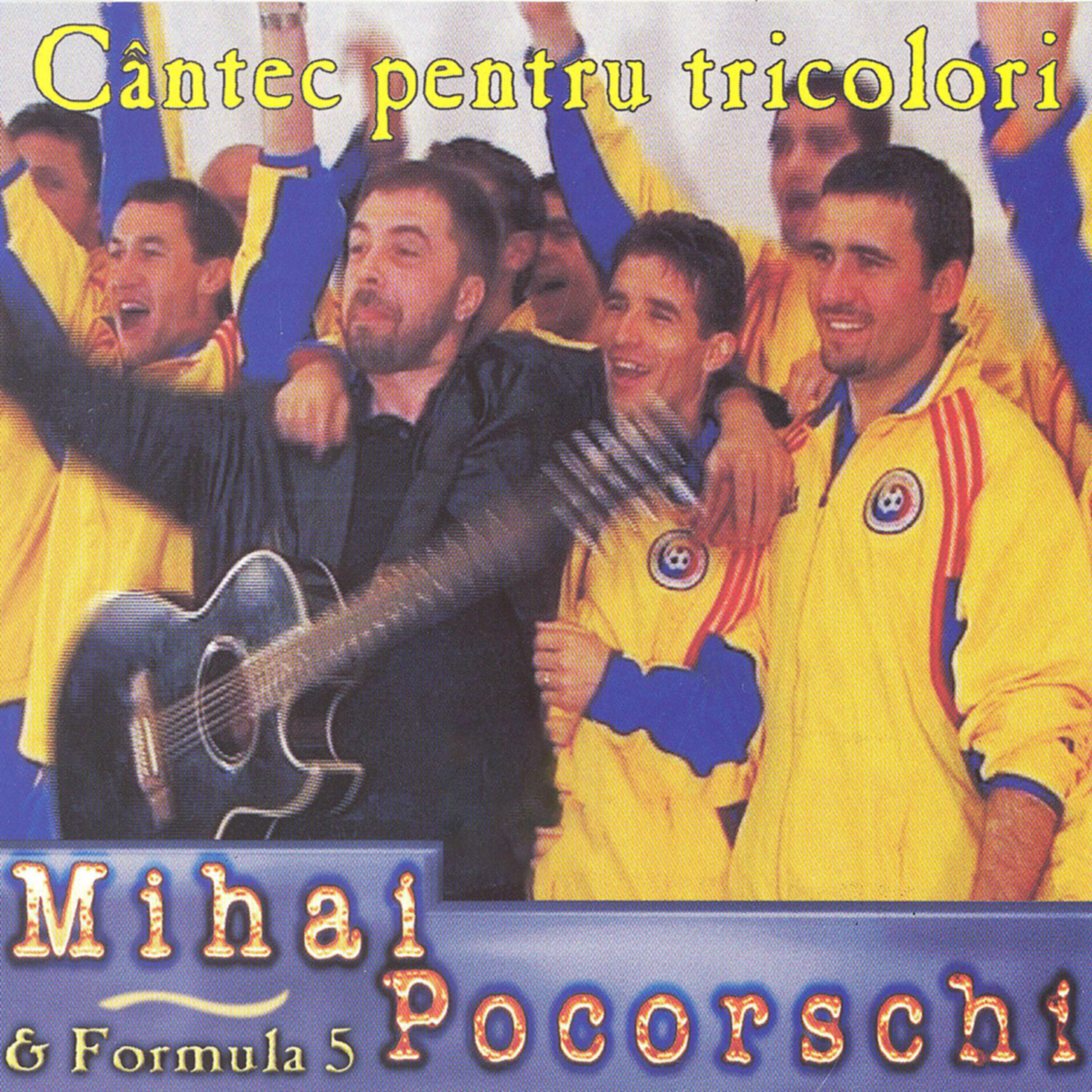 Mihai Pocorschi