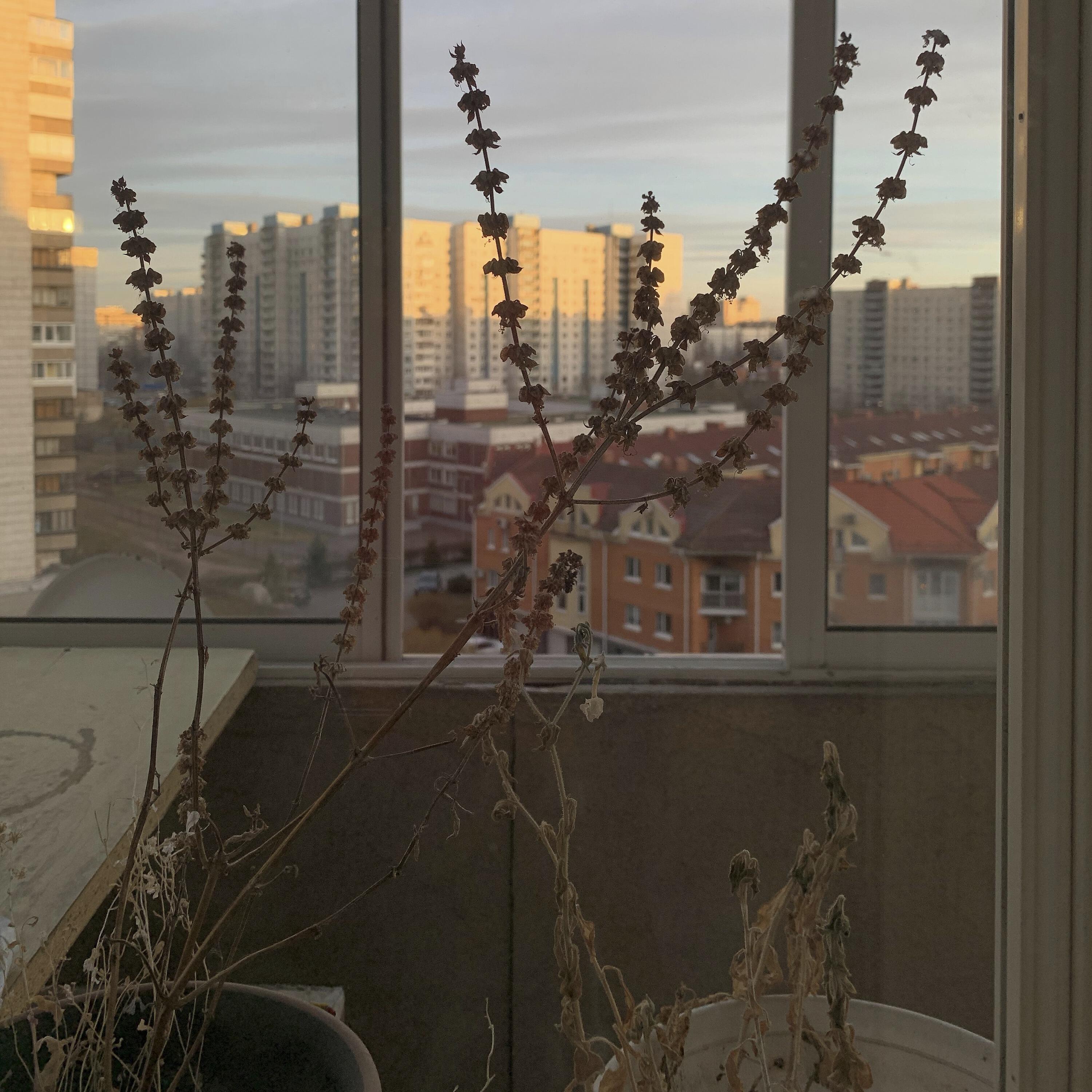 Релиз Something