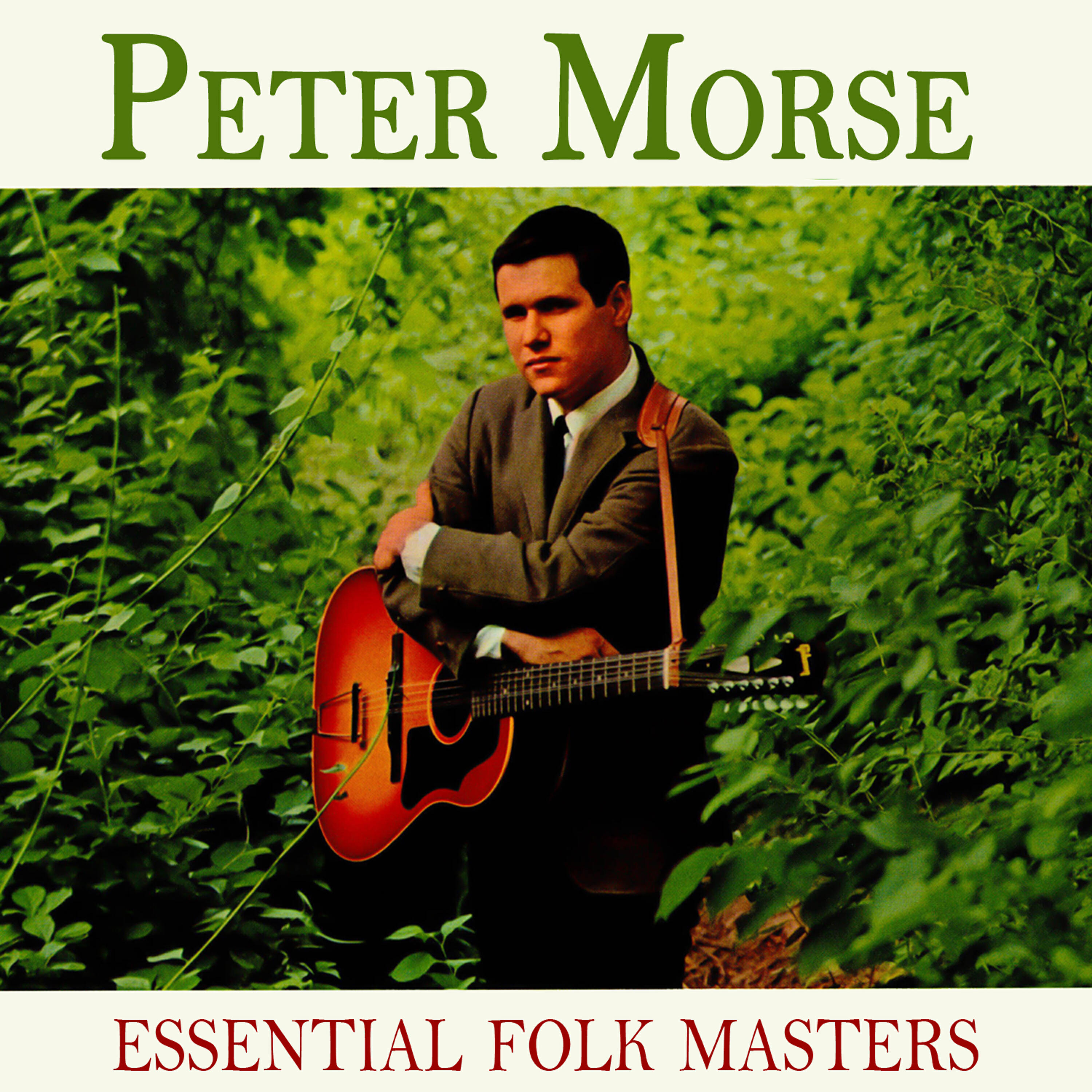 Peter Morse
