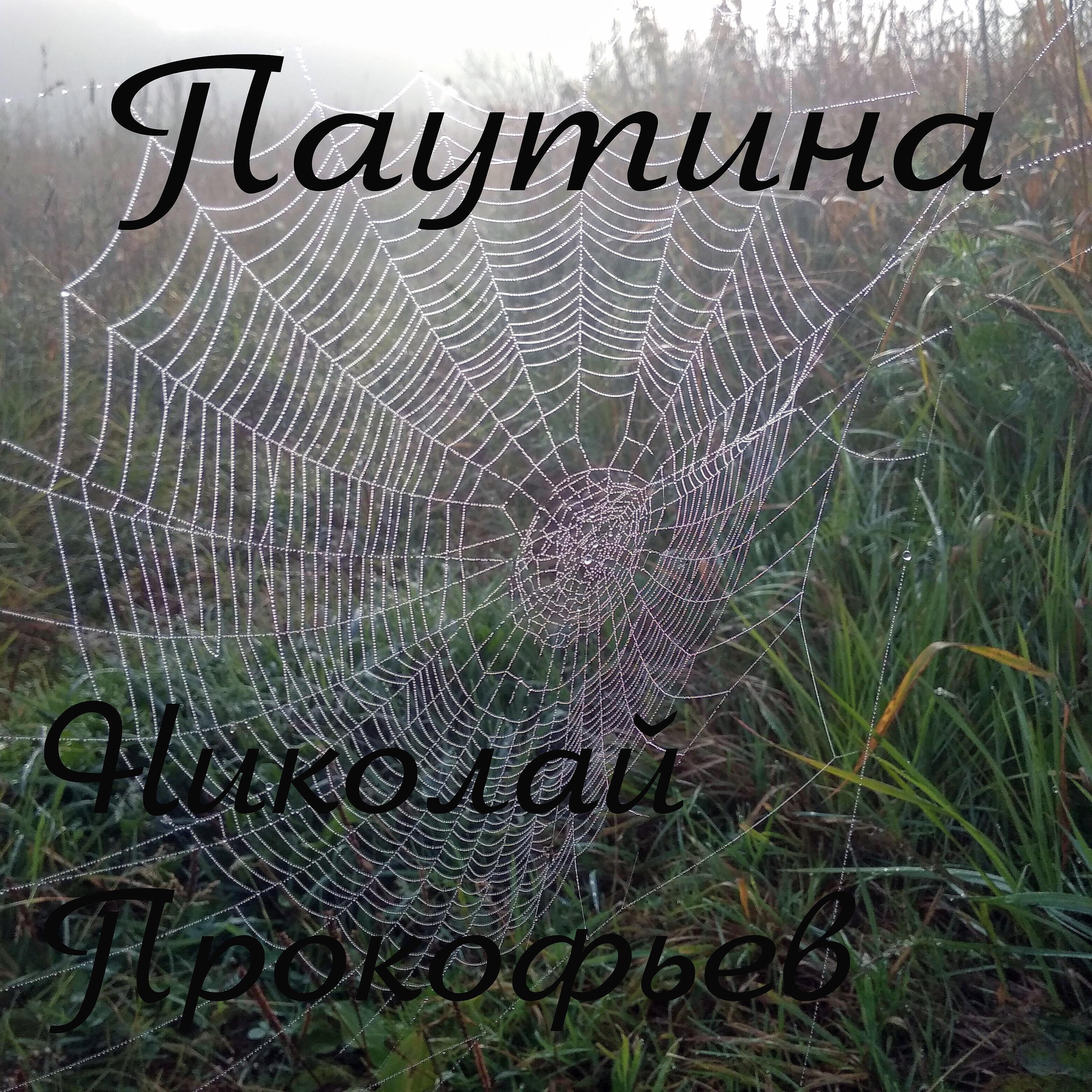 Релиз Паутина