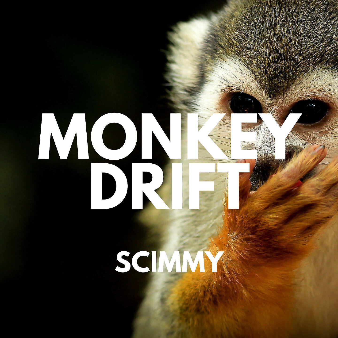 Релиз Scimmy