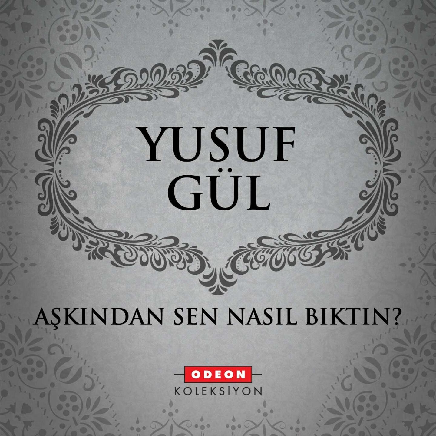 Релиз Aşkından Sen Nasıl Bıktın