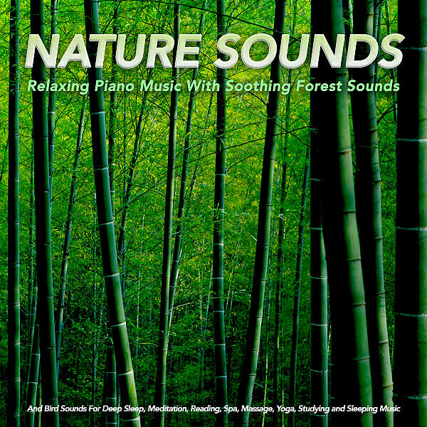 Релиз Nature Sounds: Relaxing Piano Music With Soothing Forest Sounds and Bird Sounds For Deep Sleep, Meditation, Reading, Spa, Massage, Yoga, Studying and Sleeping Music