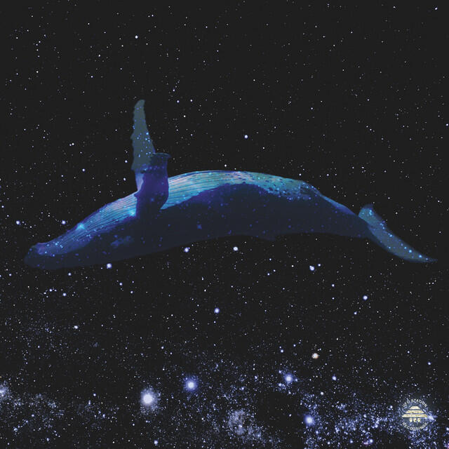 Релиз Whales