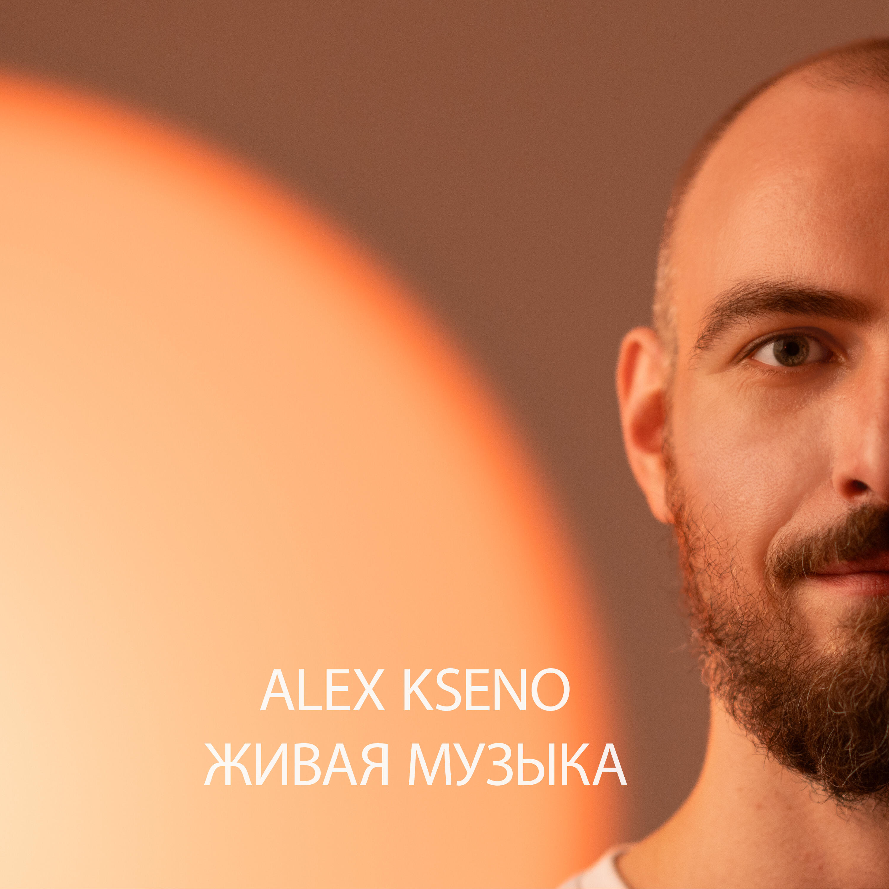 Обложка артиста