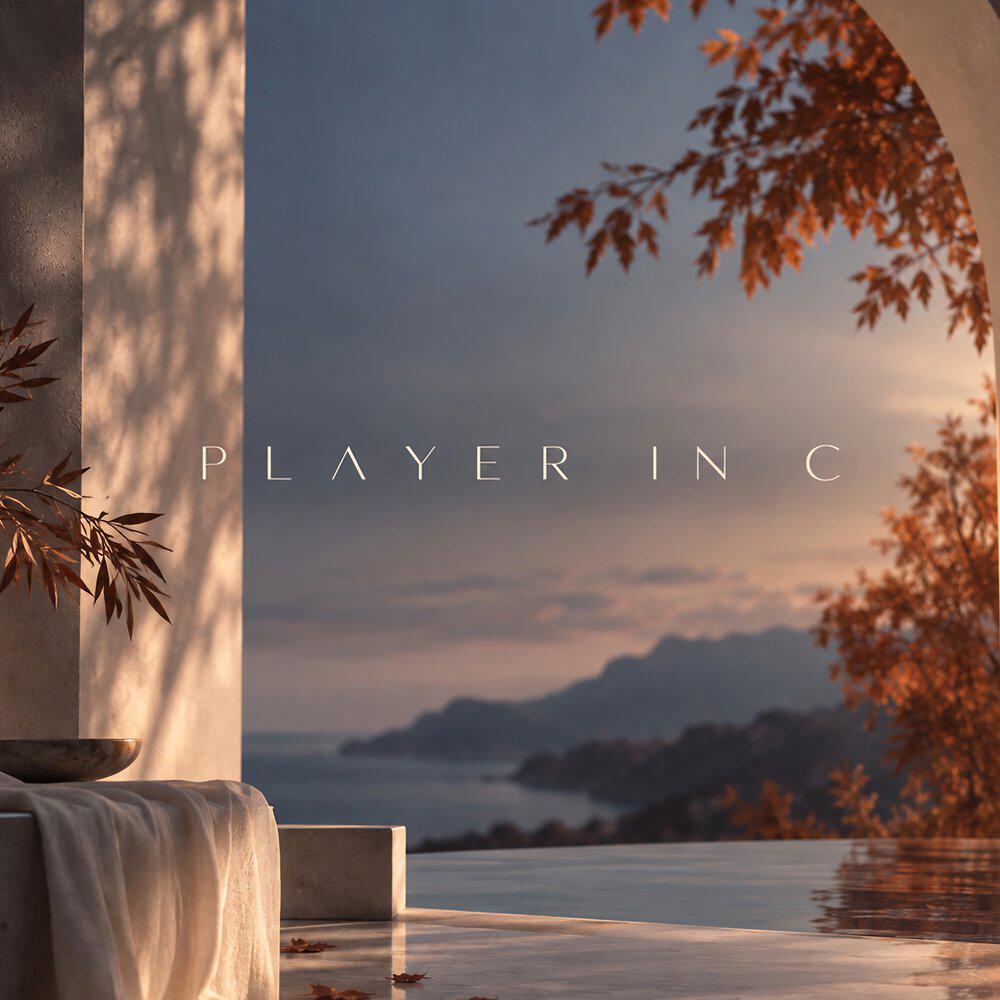 Релиз Player in C