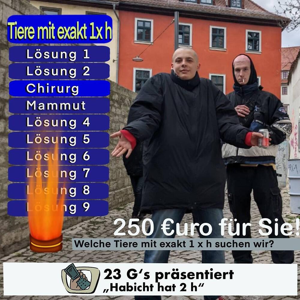 Релиз Habicht