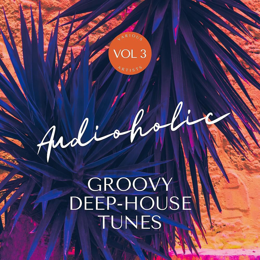 Релиз Audioholic (Groovy Deep-House Tunes), Vol. 3