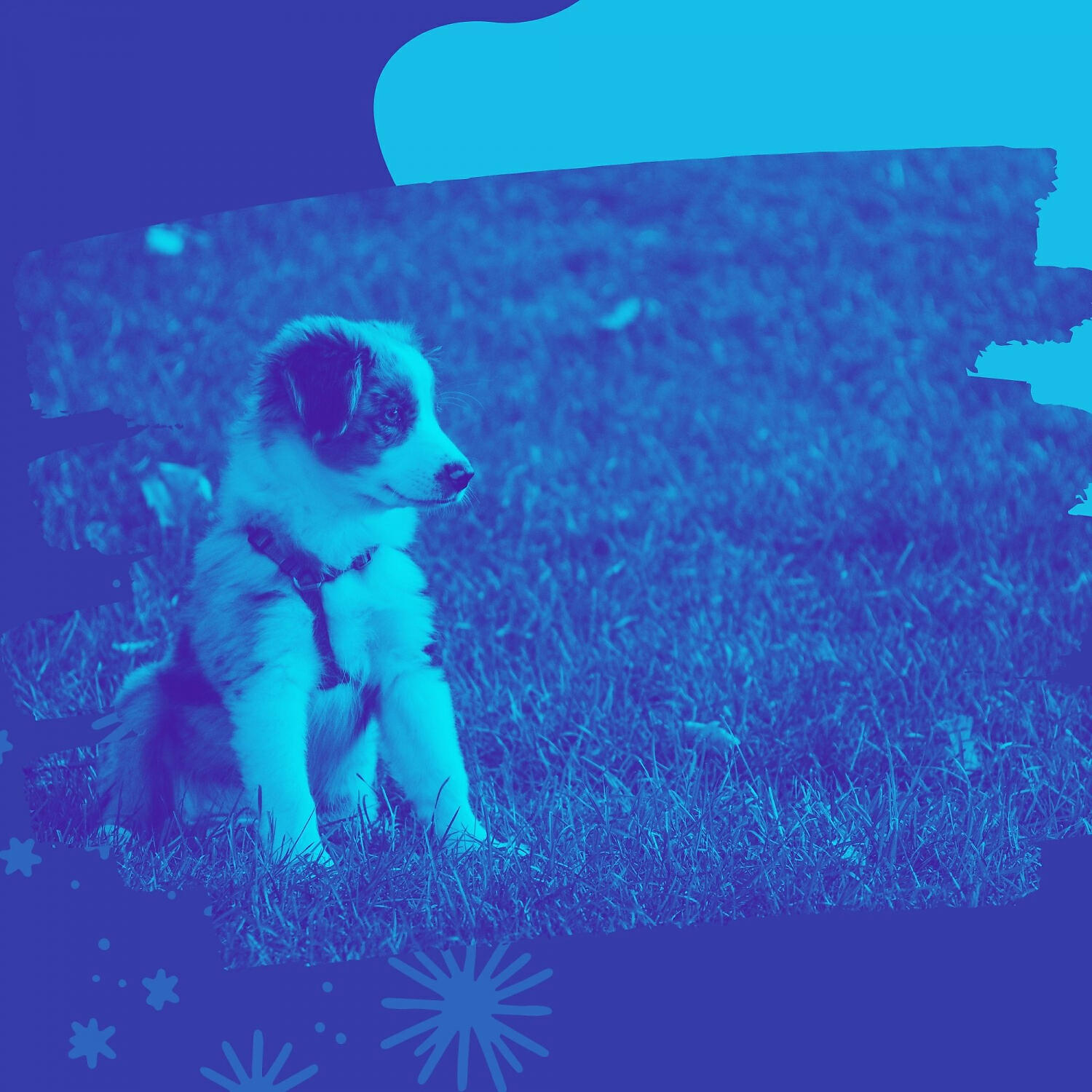Релиз Sumptuous Harp Music - Bgm for Doggy Naptime
