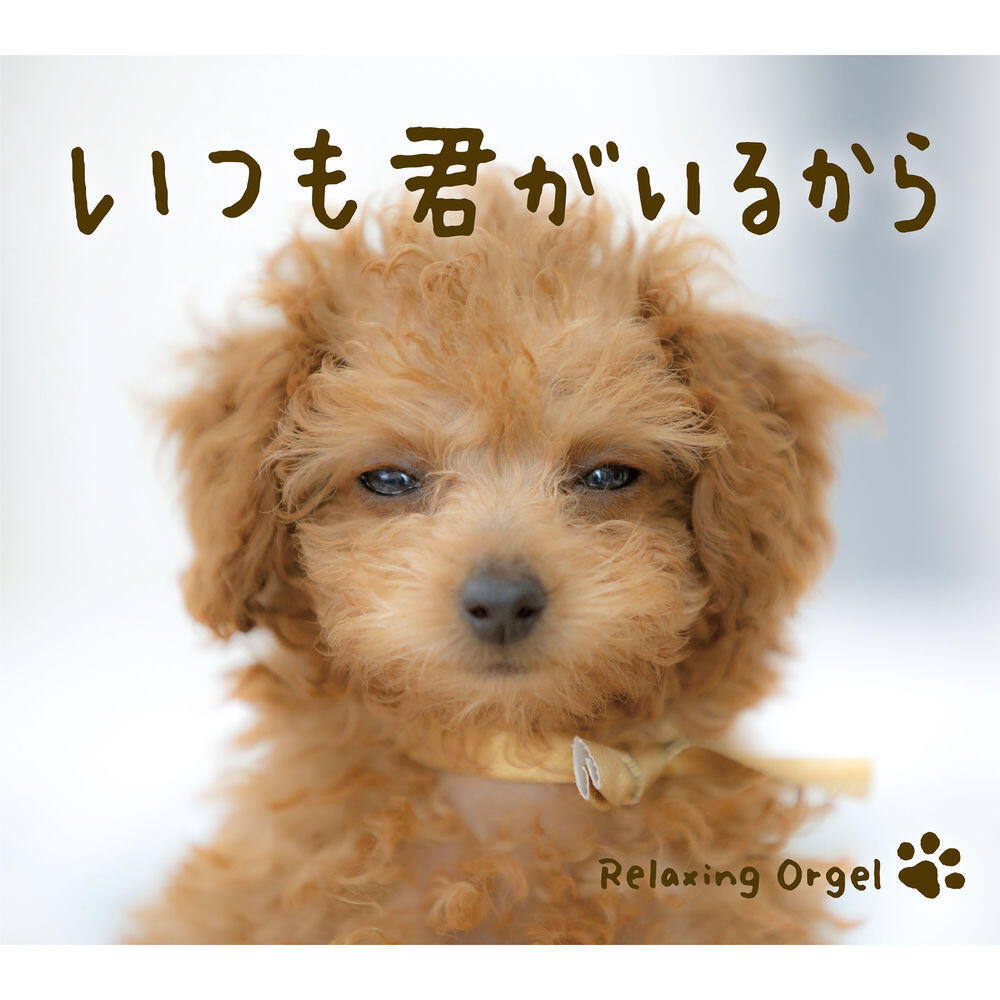 Релиз いつも君がいるから