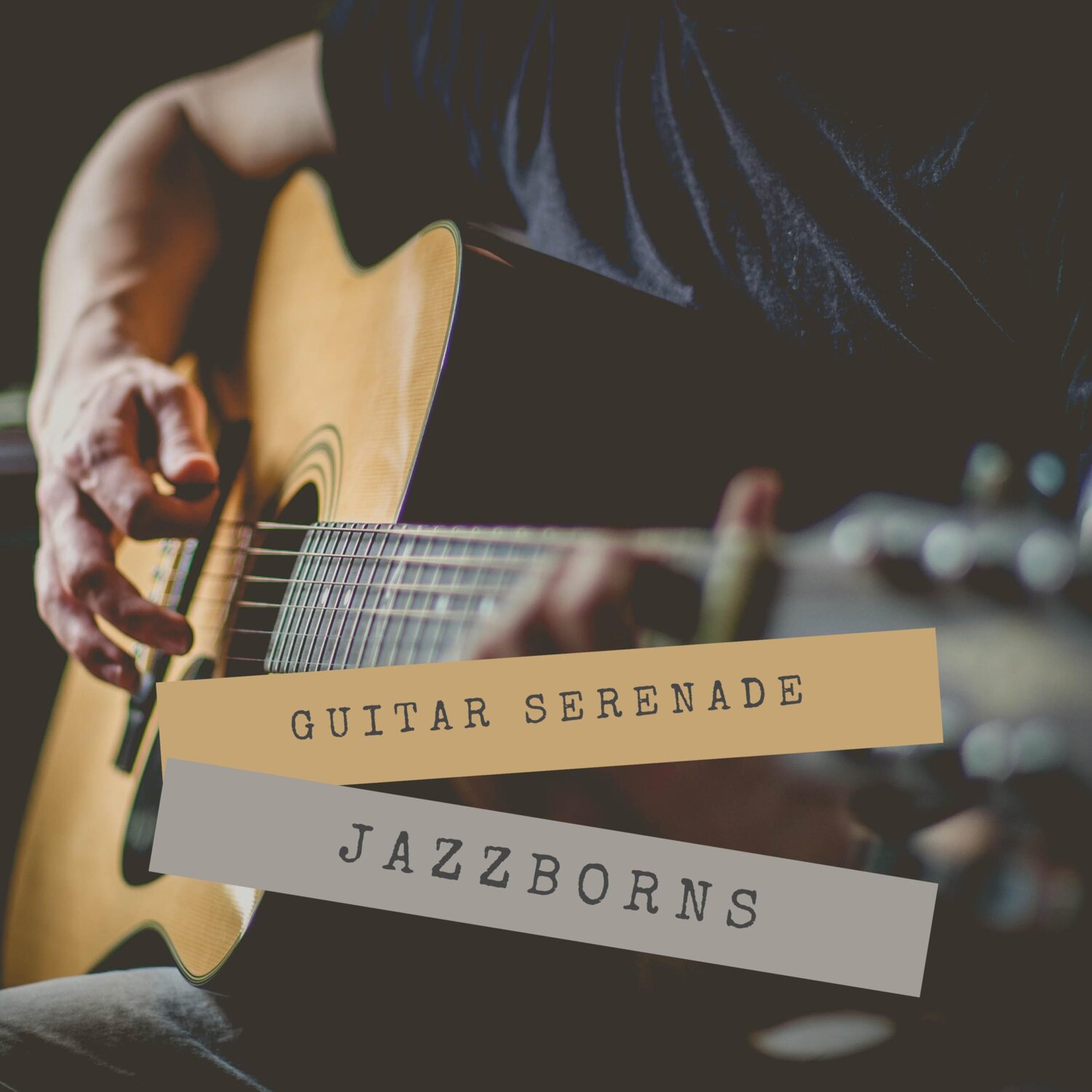 Релиз Guitar Serenade