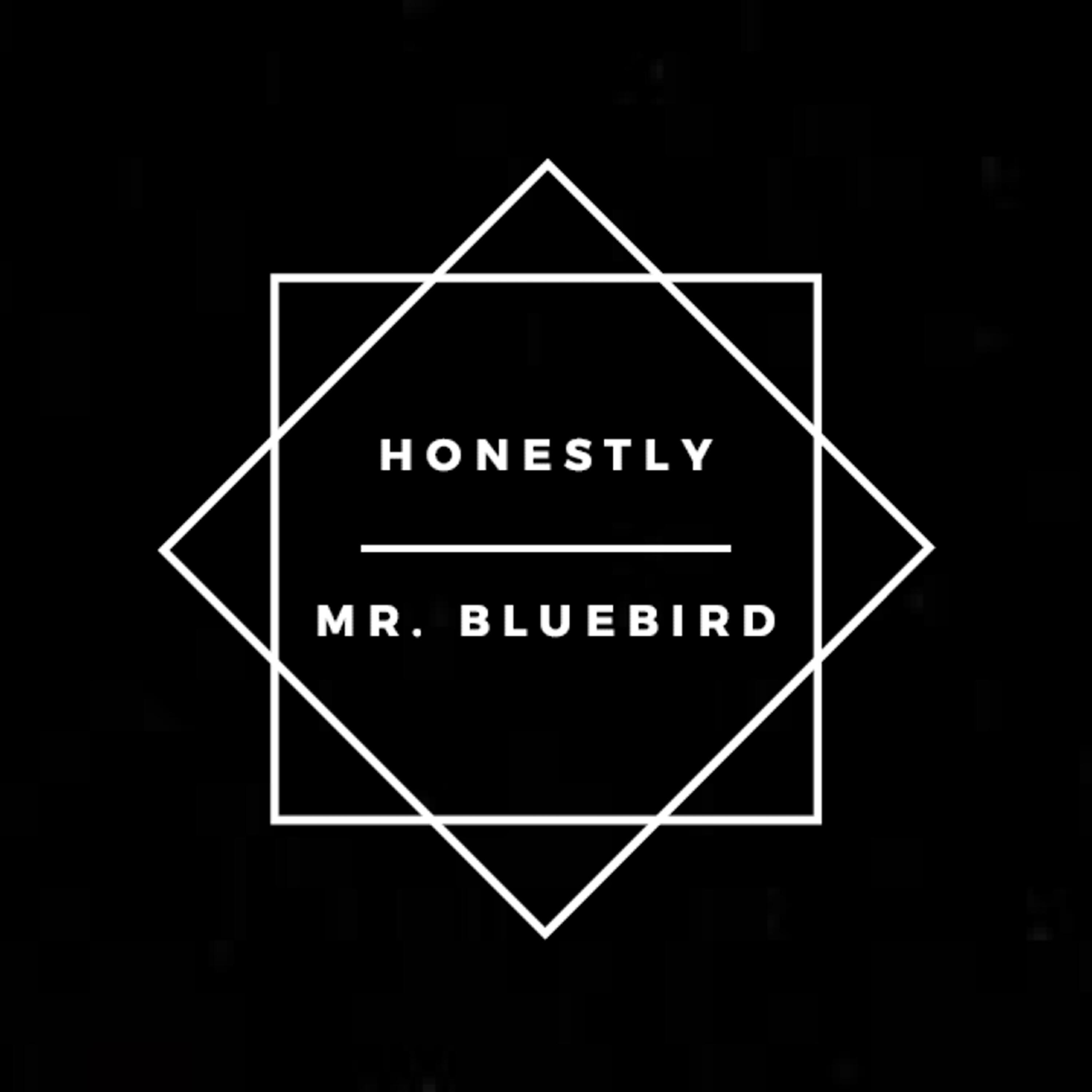 Mr. BlueBird