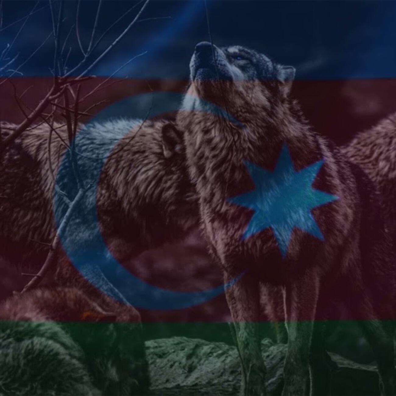 Релиз Wolf Aze