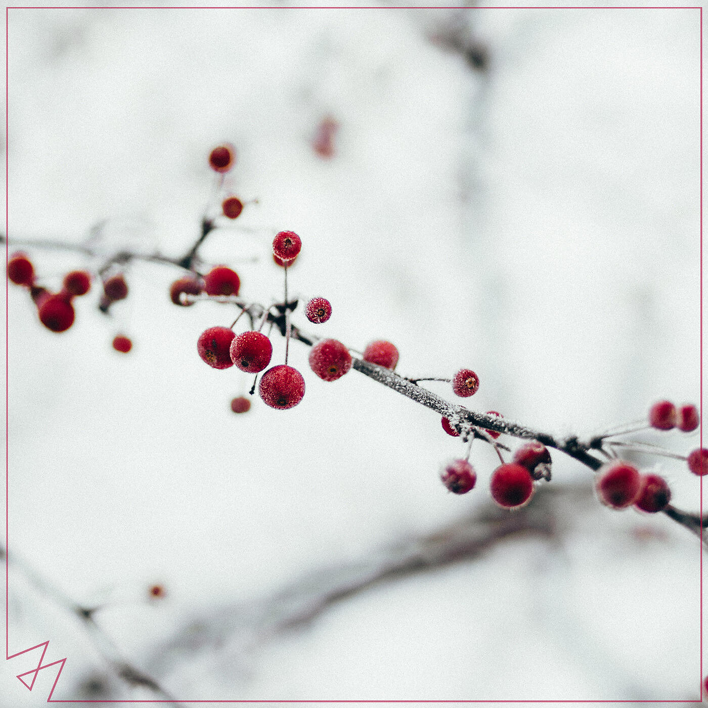 Постер альбома All I Want for Christmas Is You