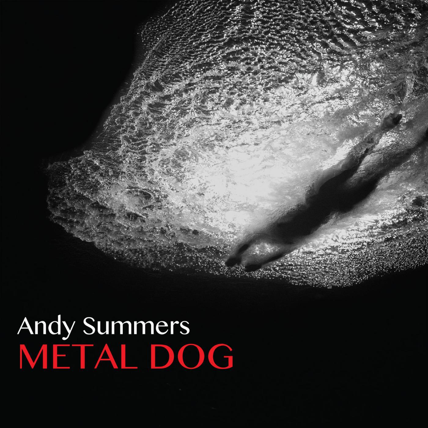 Релиз Metal Dog