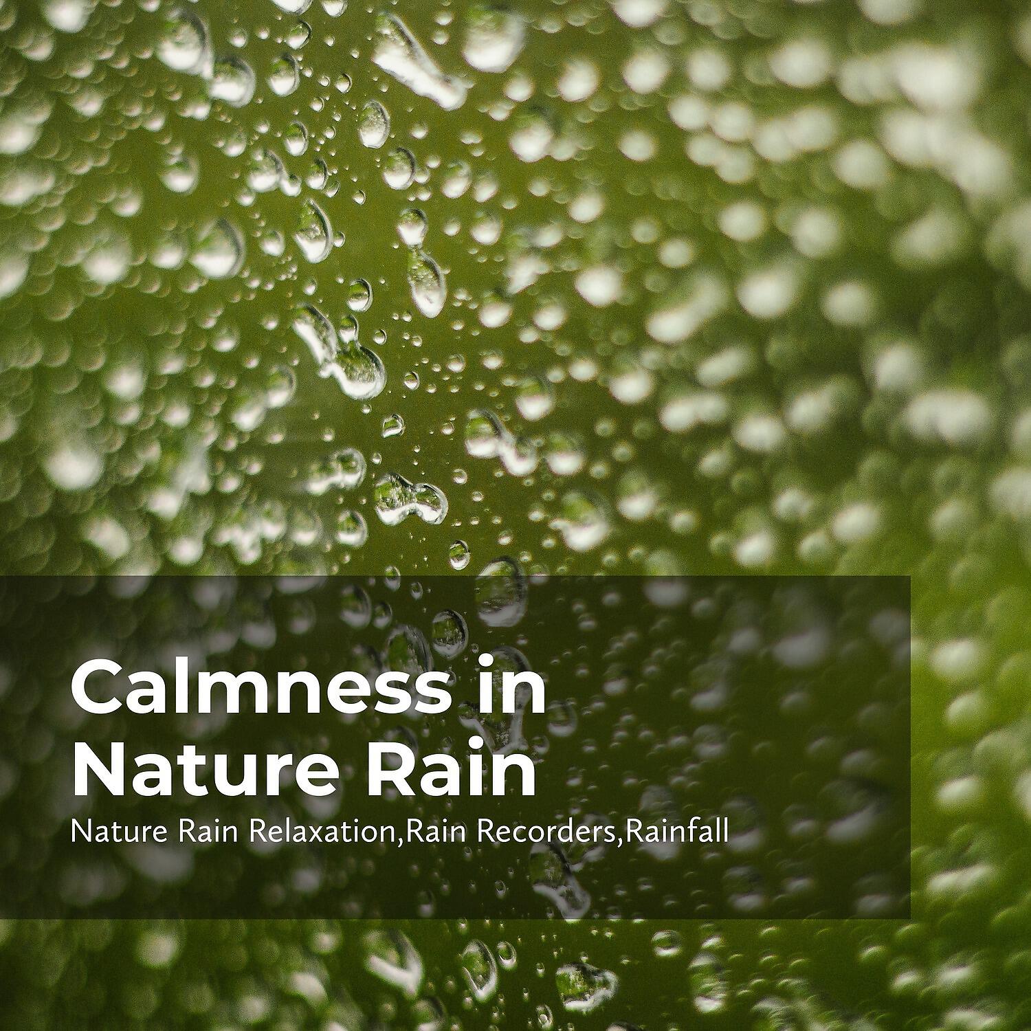 Релиз Calmness in Nature Rain