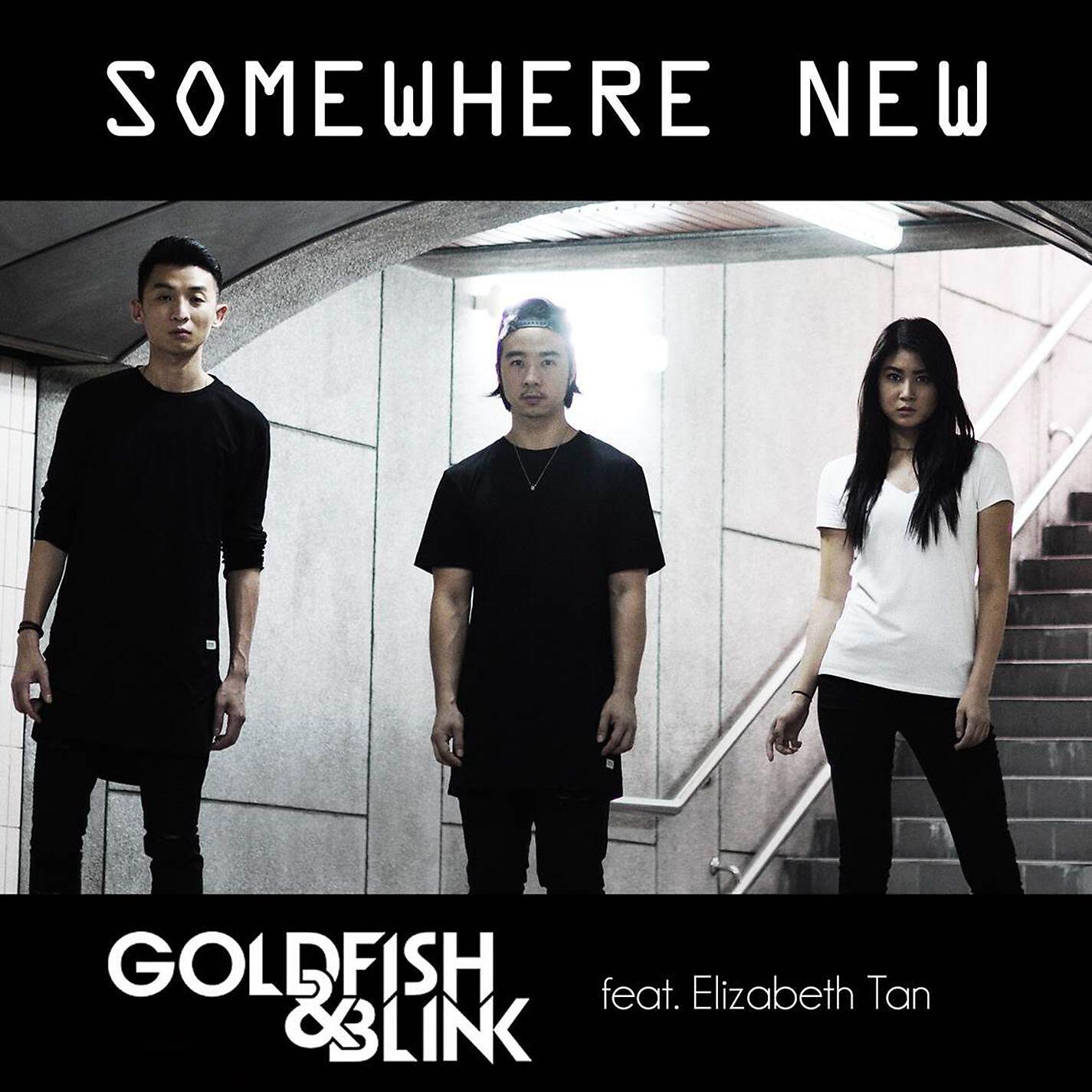 Релиз Somewhere New (feat. Elizabeth Tan)