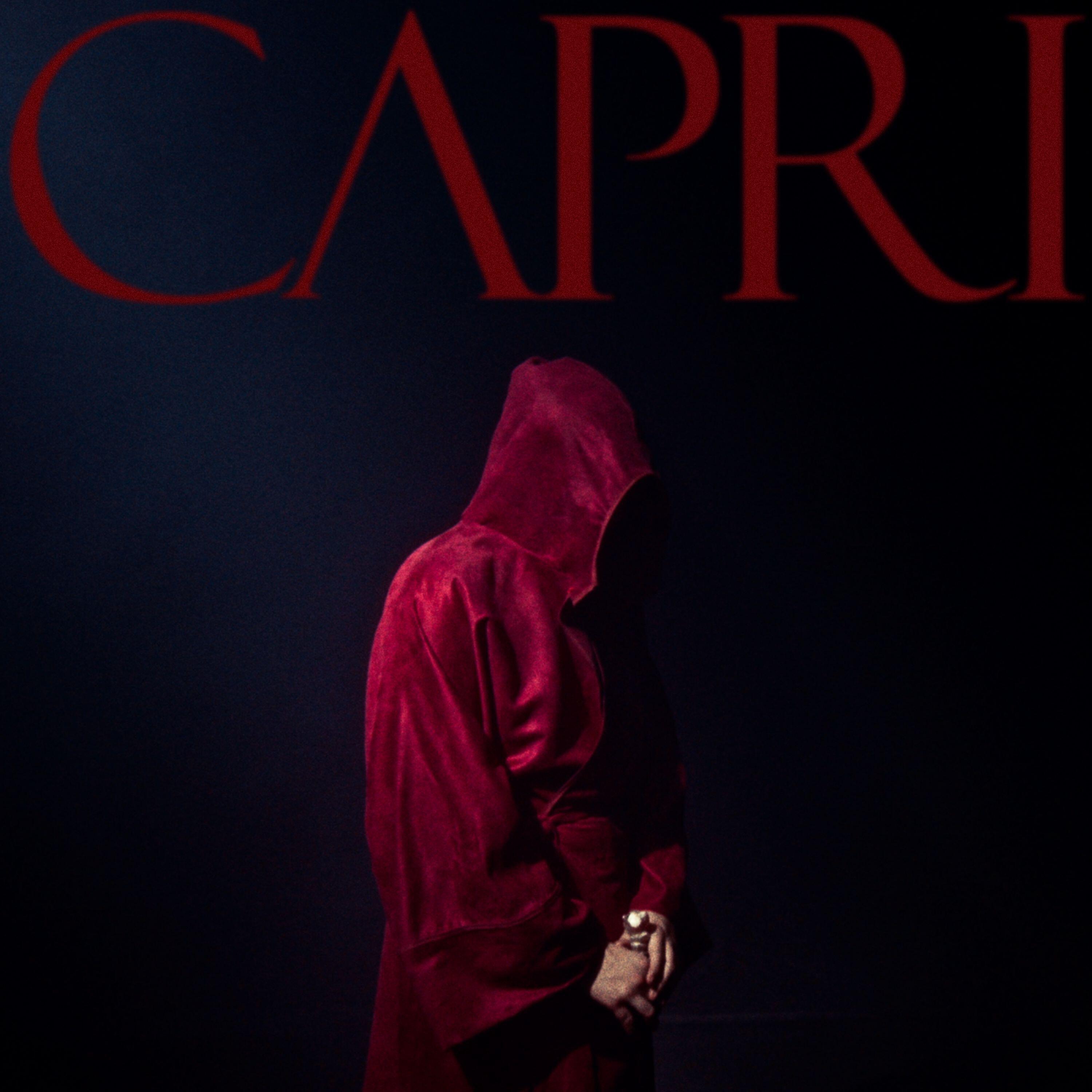 Релиз CAPRI