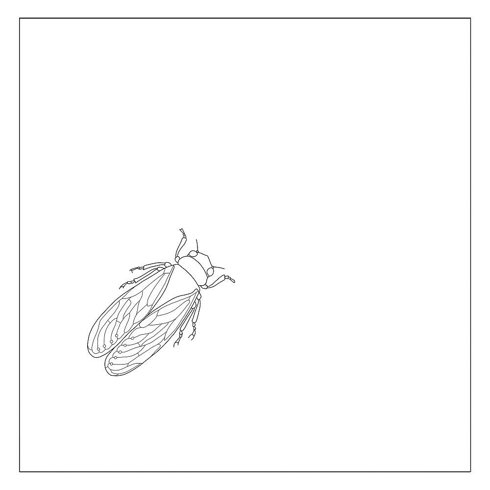 Релиз Cigale