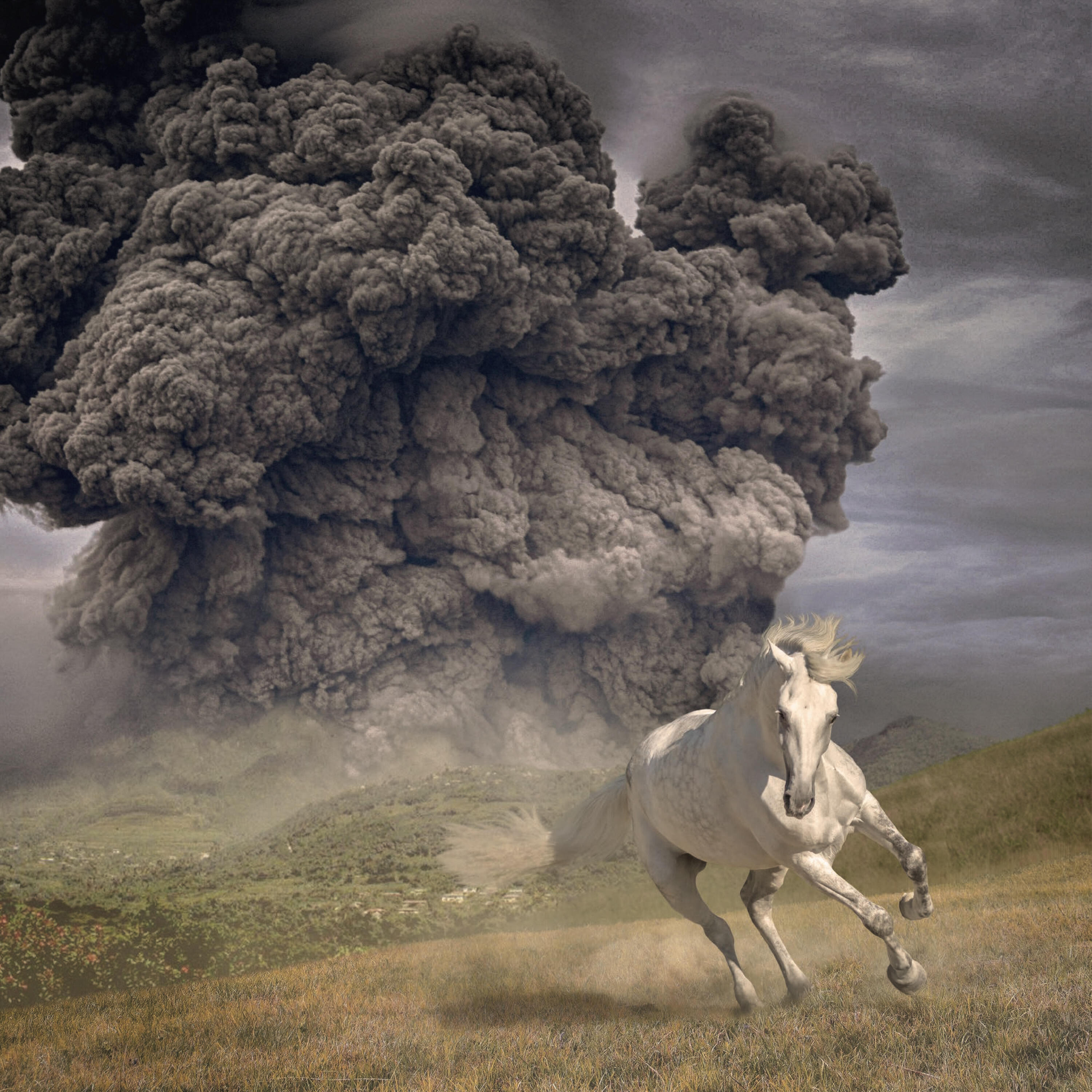 Релиз Year Of The Dark Horse