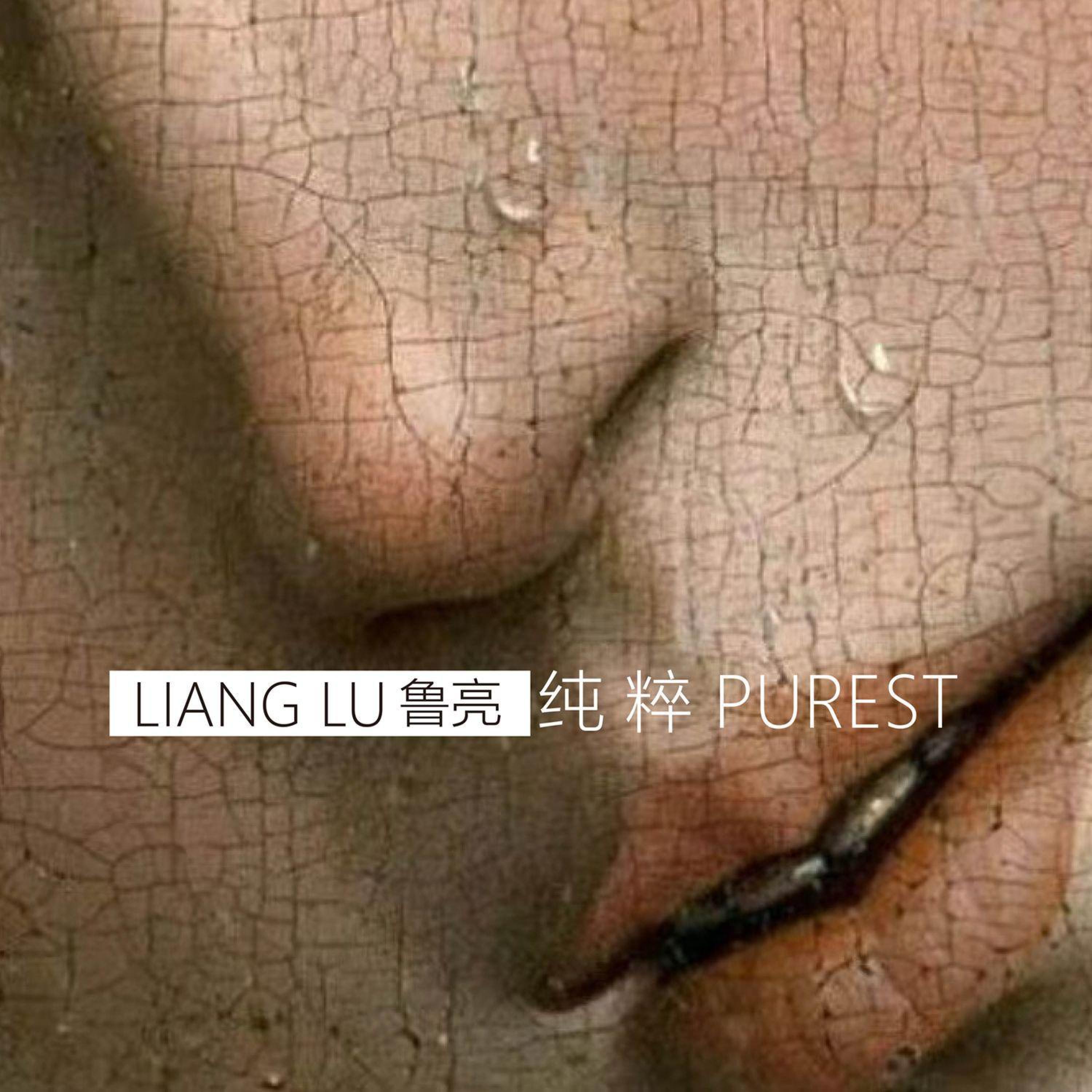Релиз 纯粹