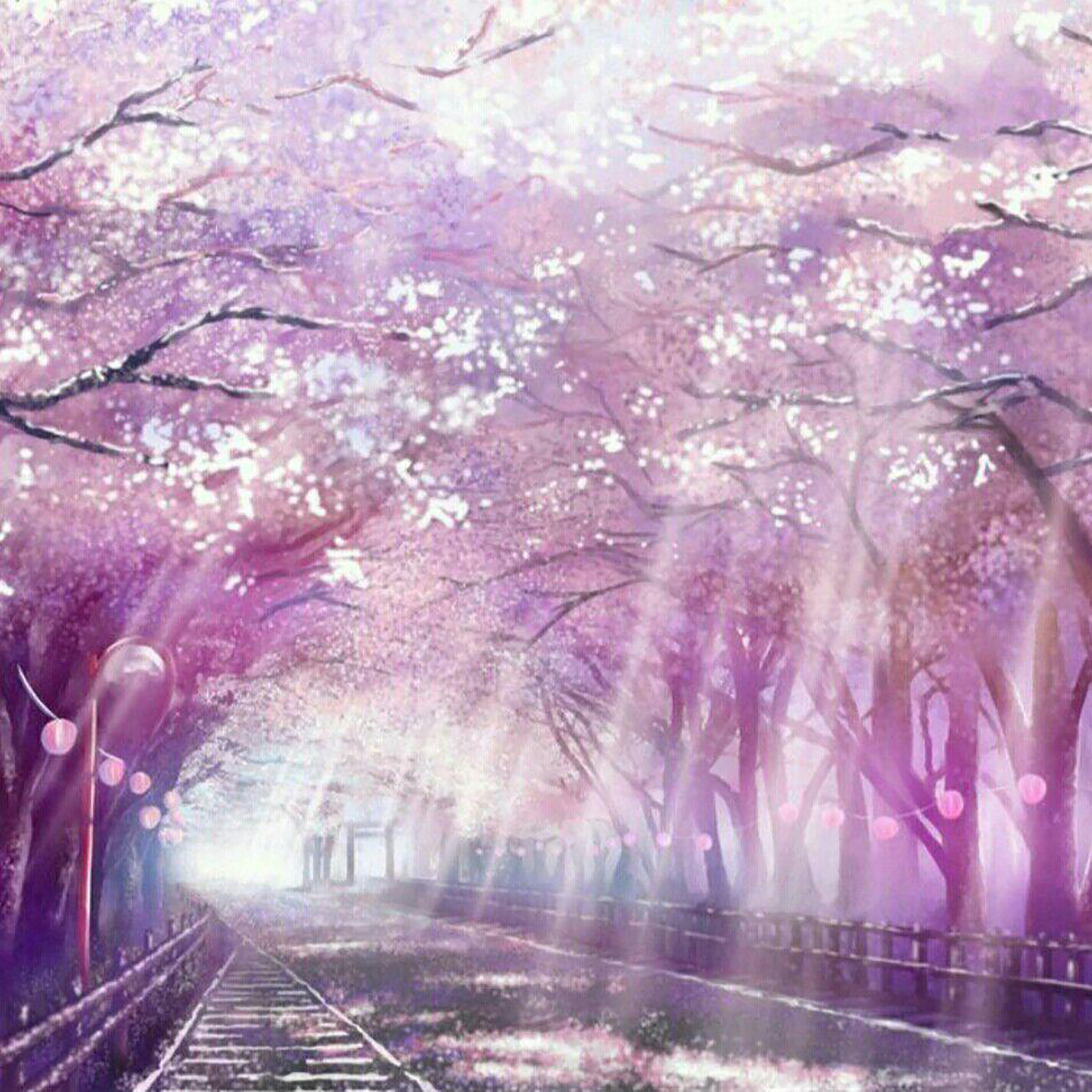 Релиз 花空