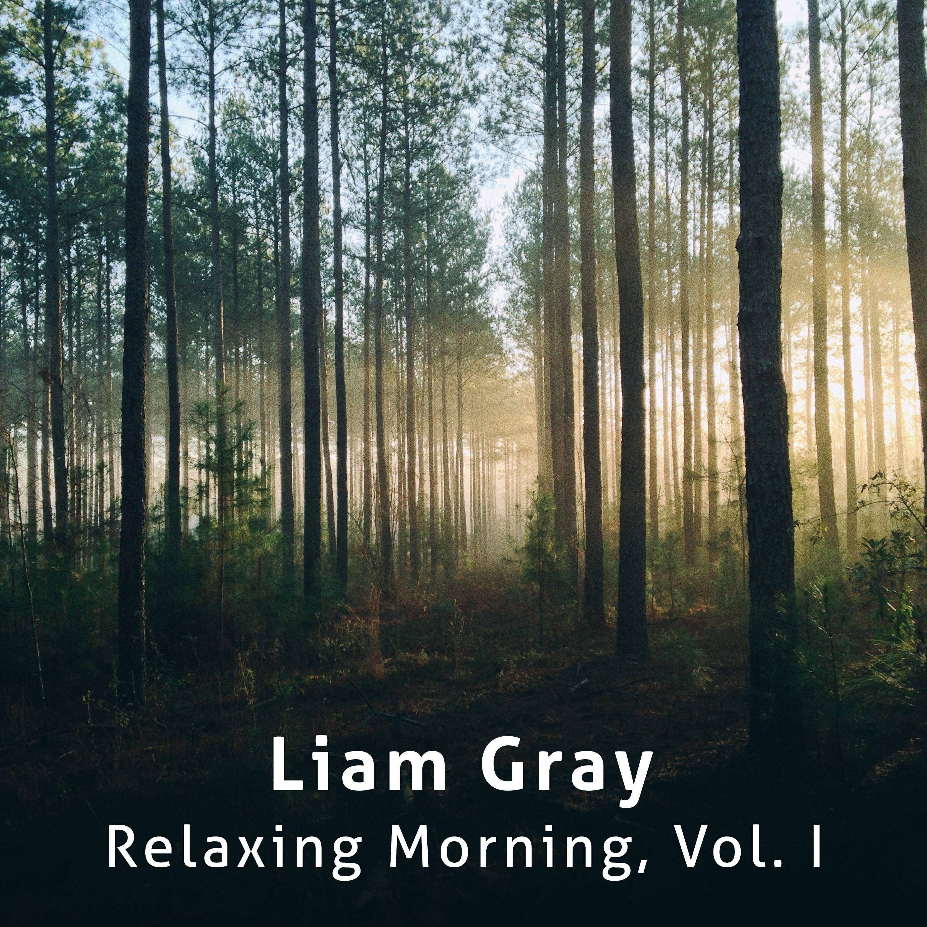 Релиз Relaxing Morning, Vol. I