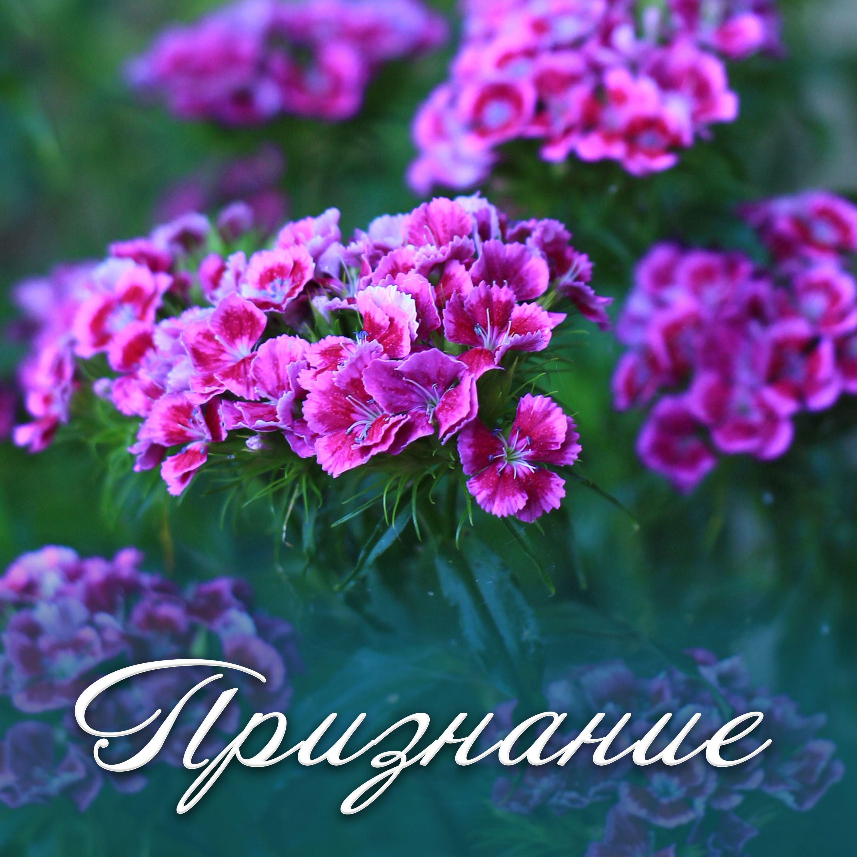Постер альбома Признание