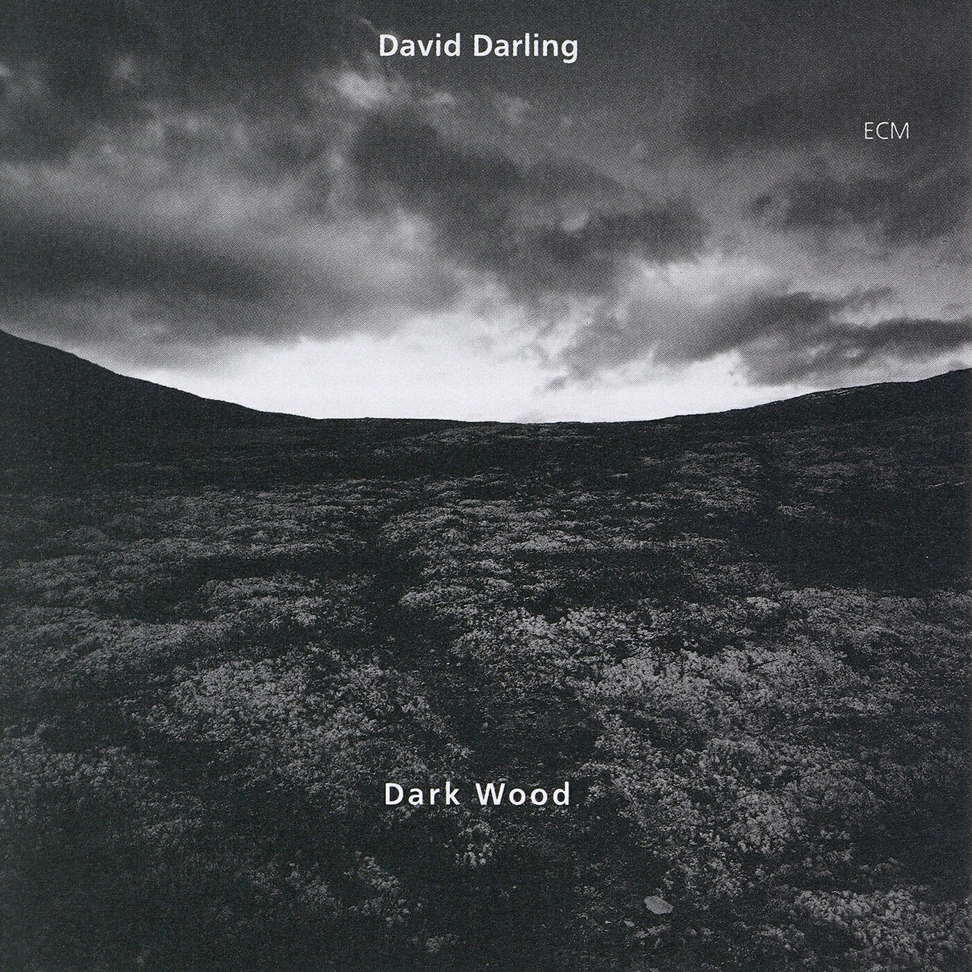 Релиз Dark Wood