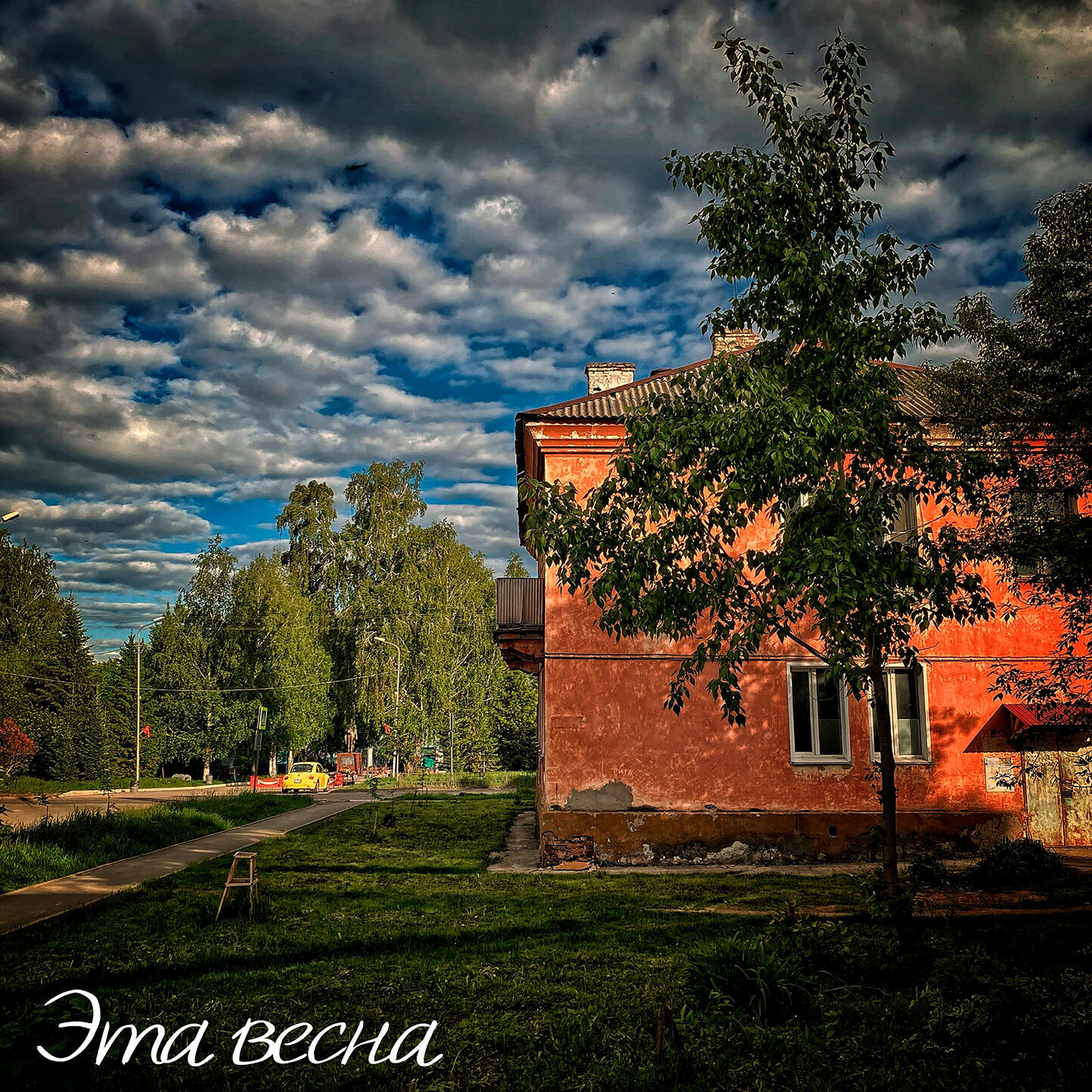 wiera