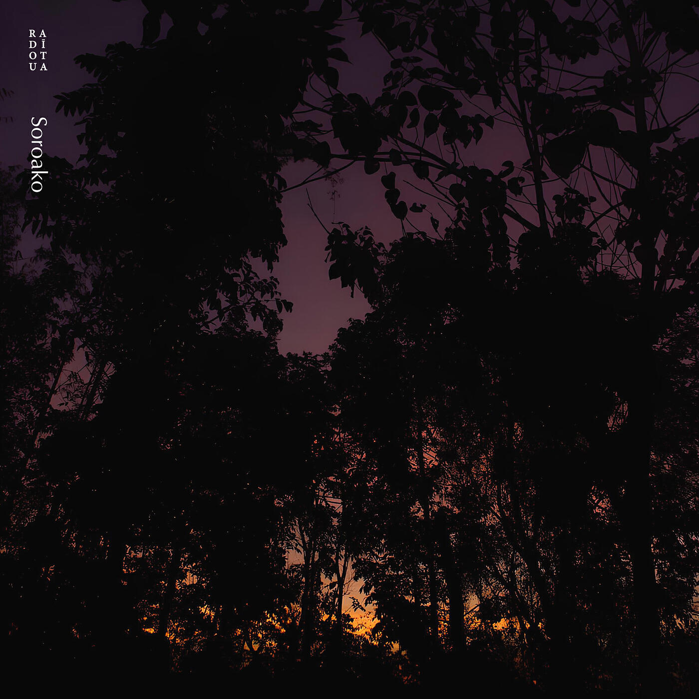 Релиз Soroako