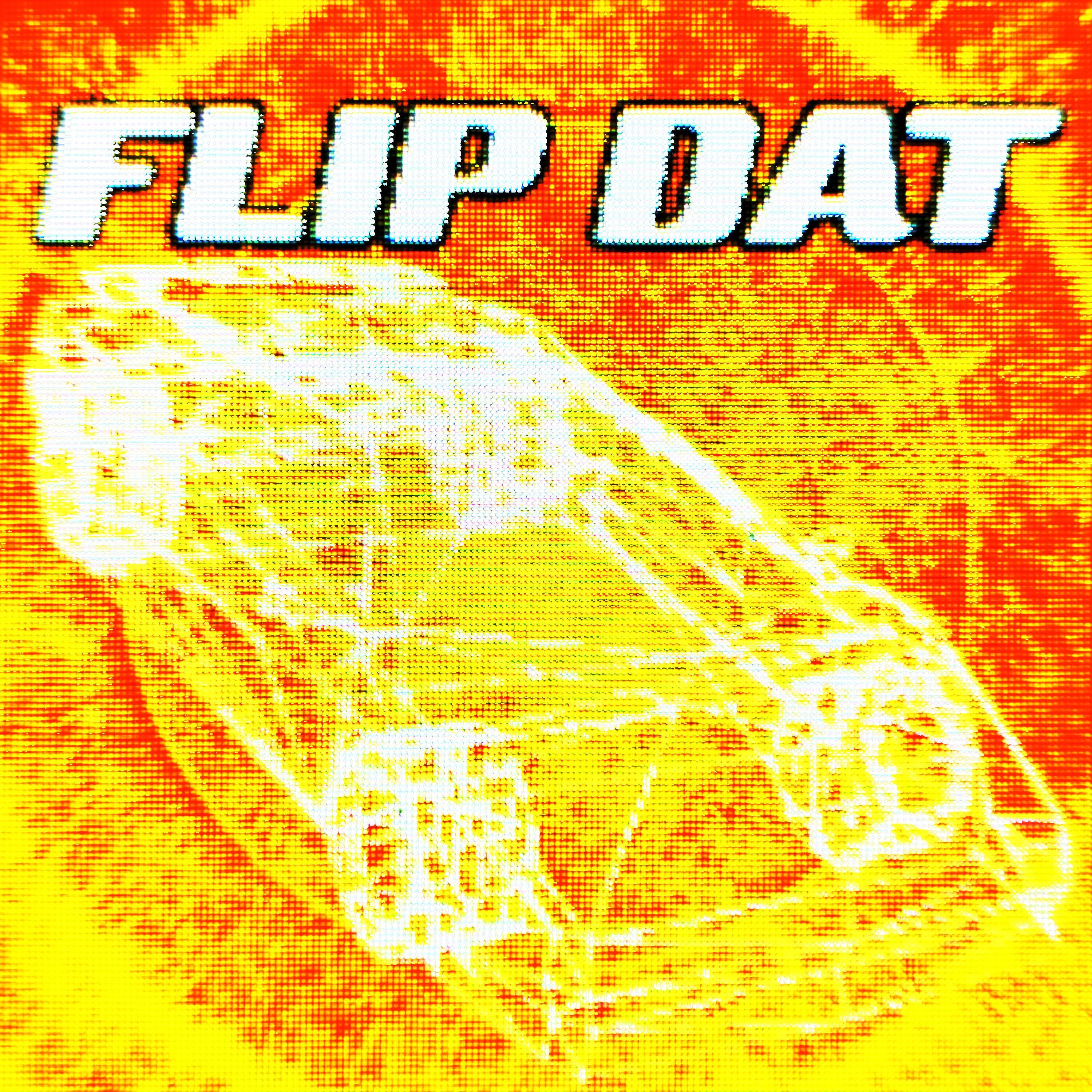 Релиз FLIP DAT