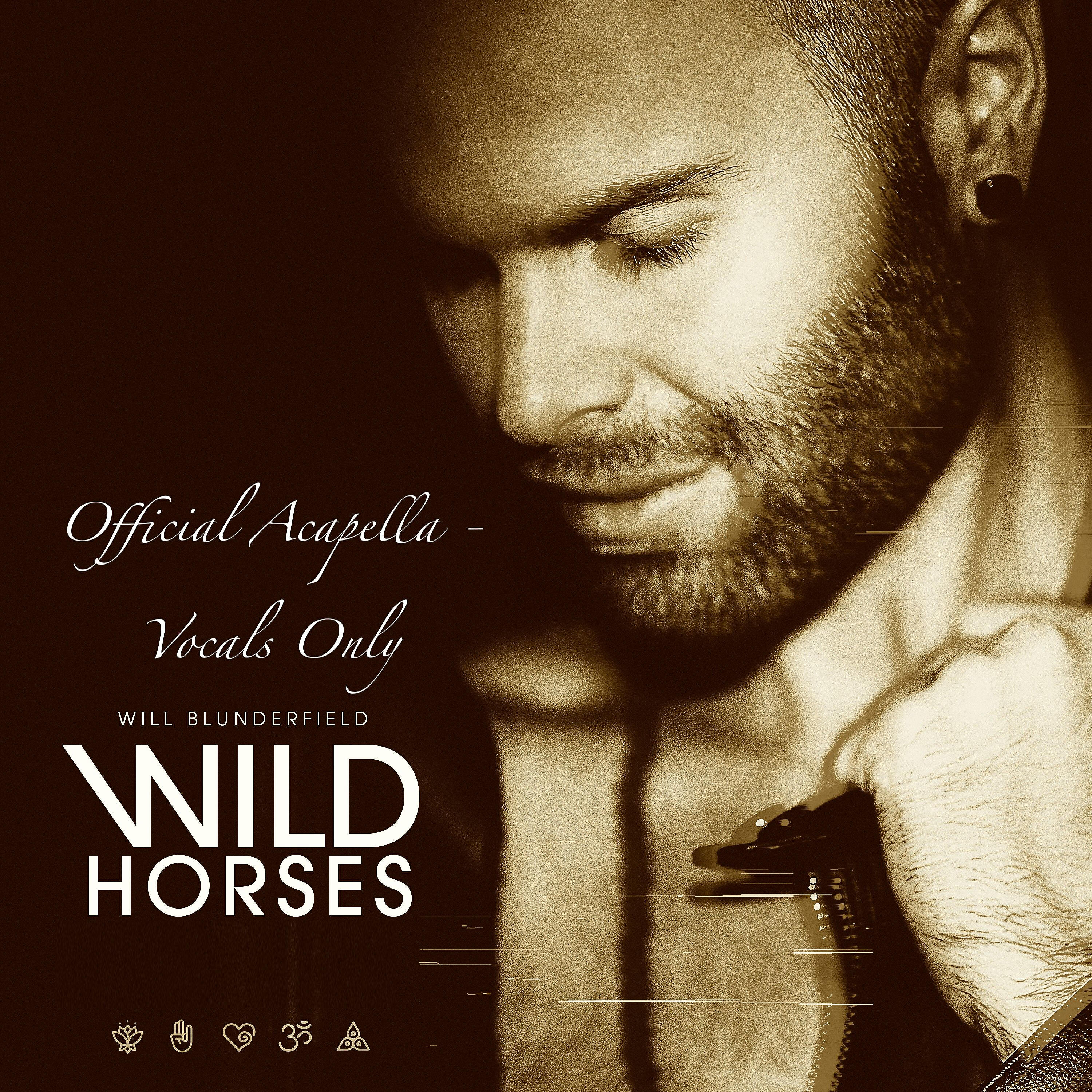 Релиз Wild Horses (Acapella Version)