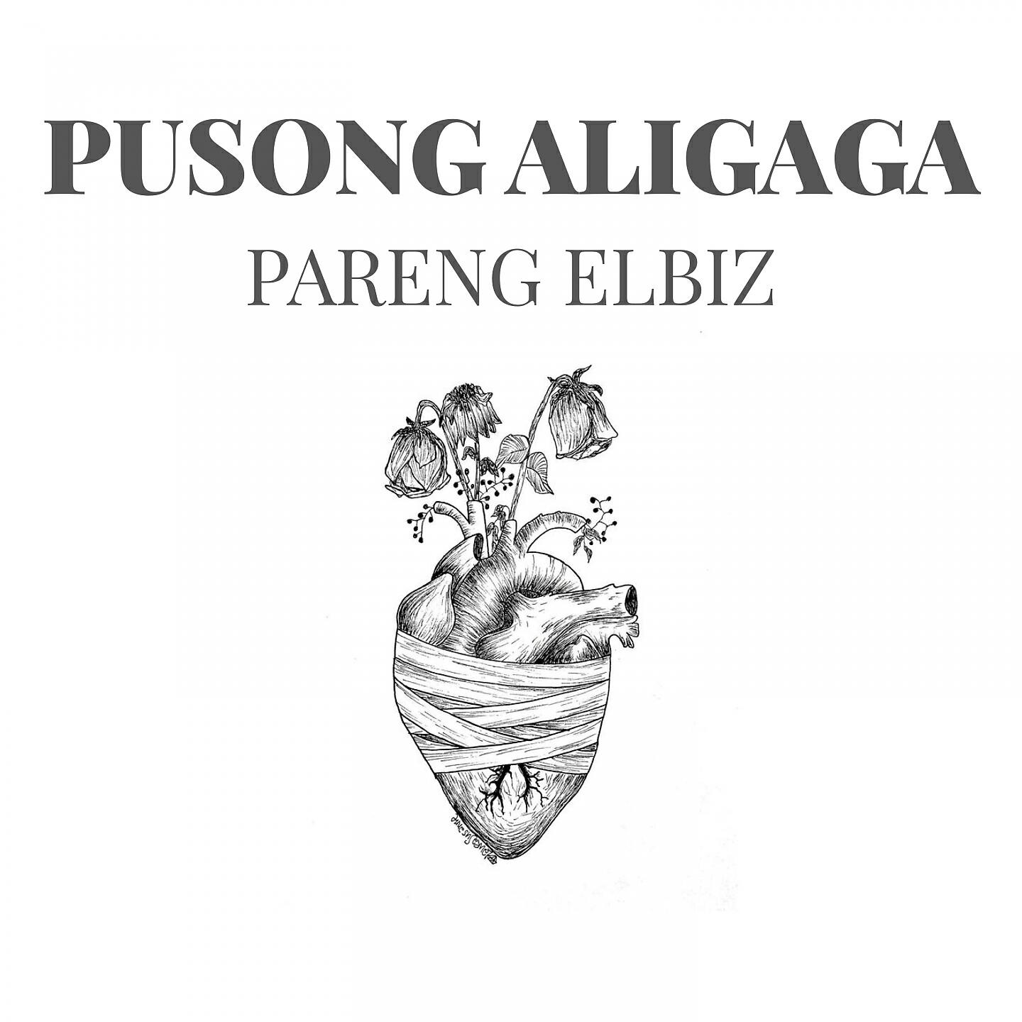 Трек Pareng Elbiz