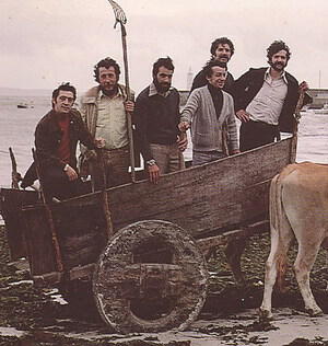 A Roda