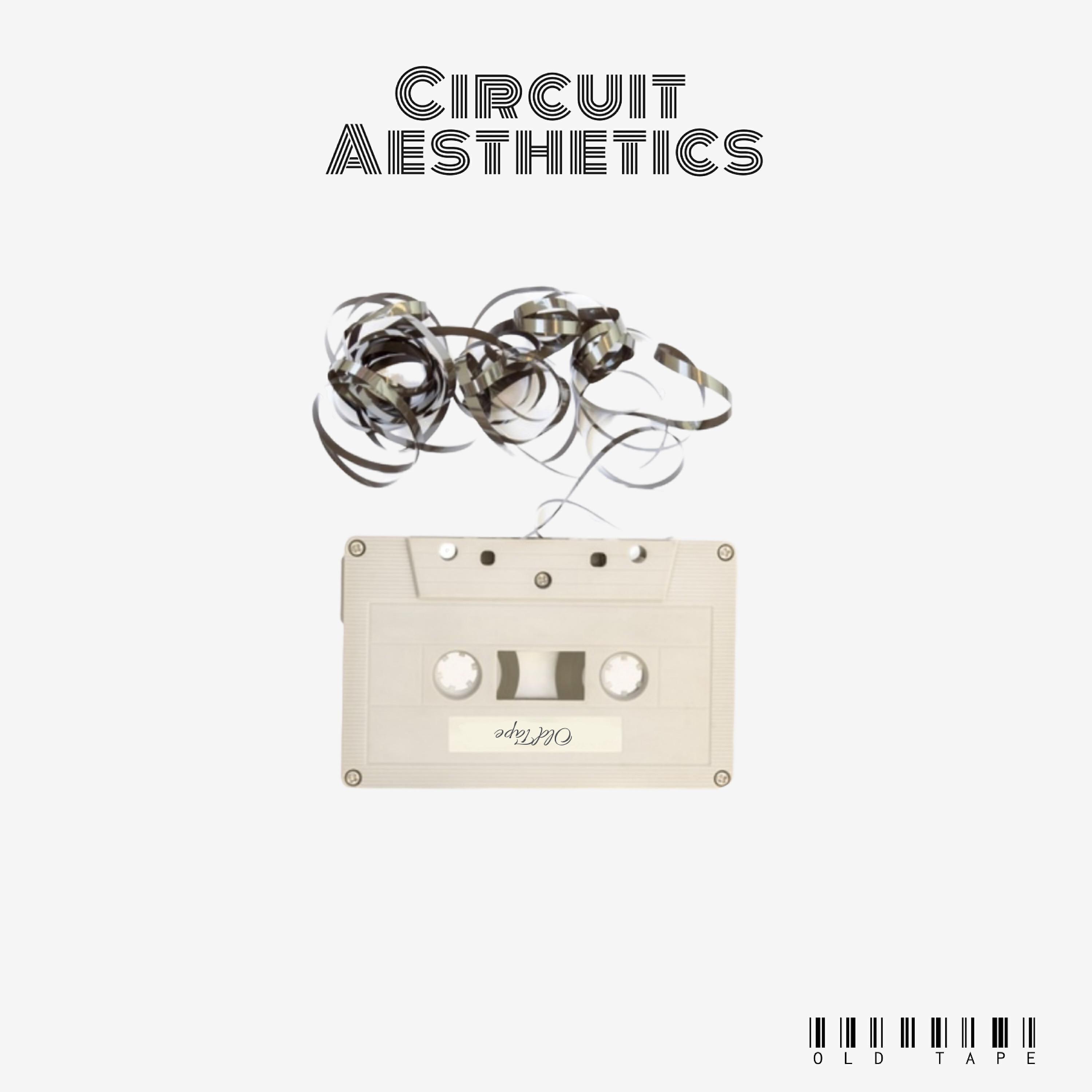 Circuit Aesthetics