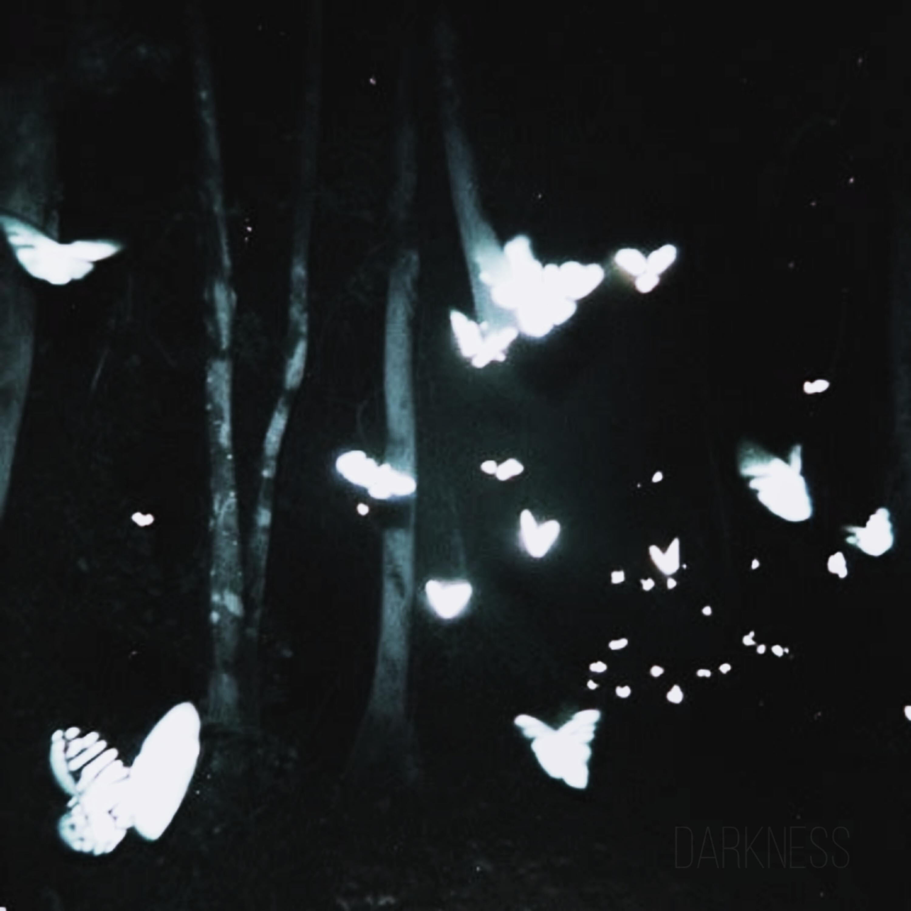 Релиз darkness