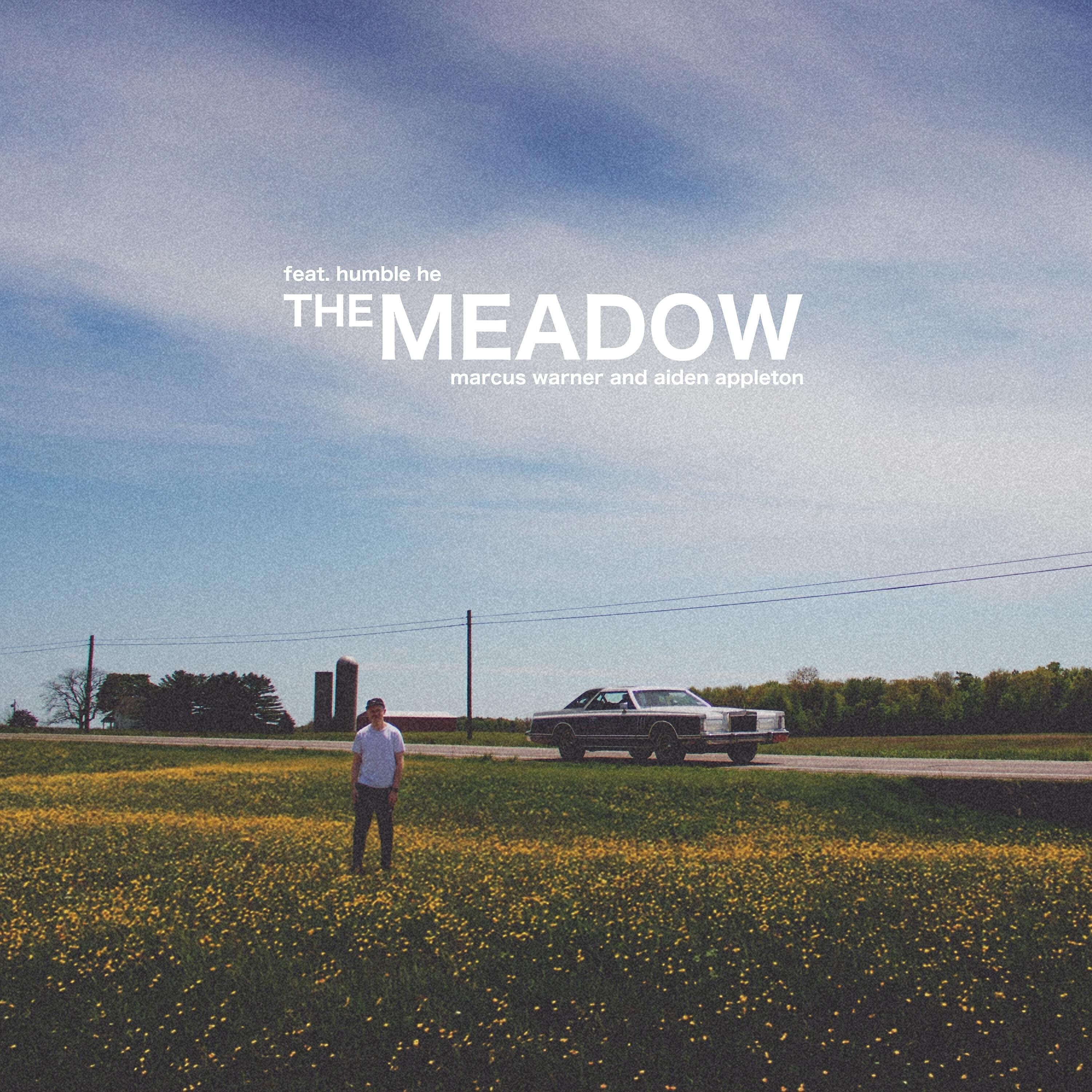 Релиз The Meadow