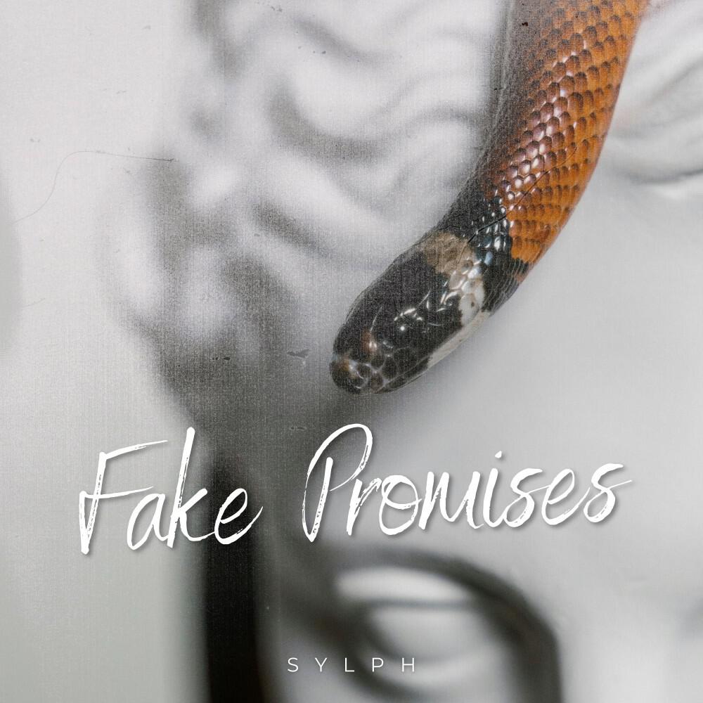 Релиз Fake Promises