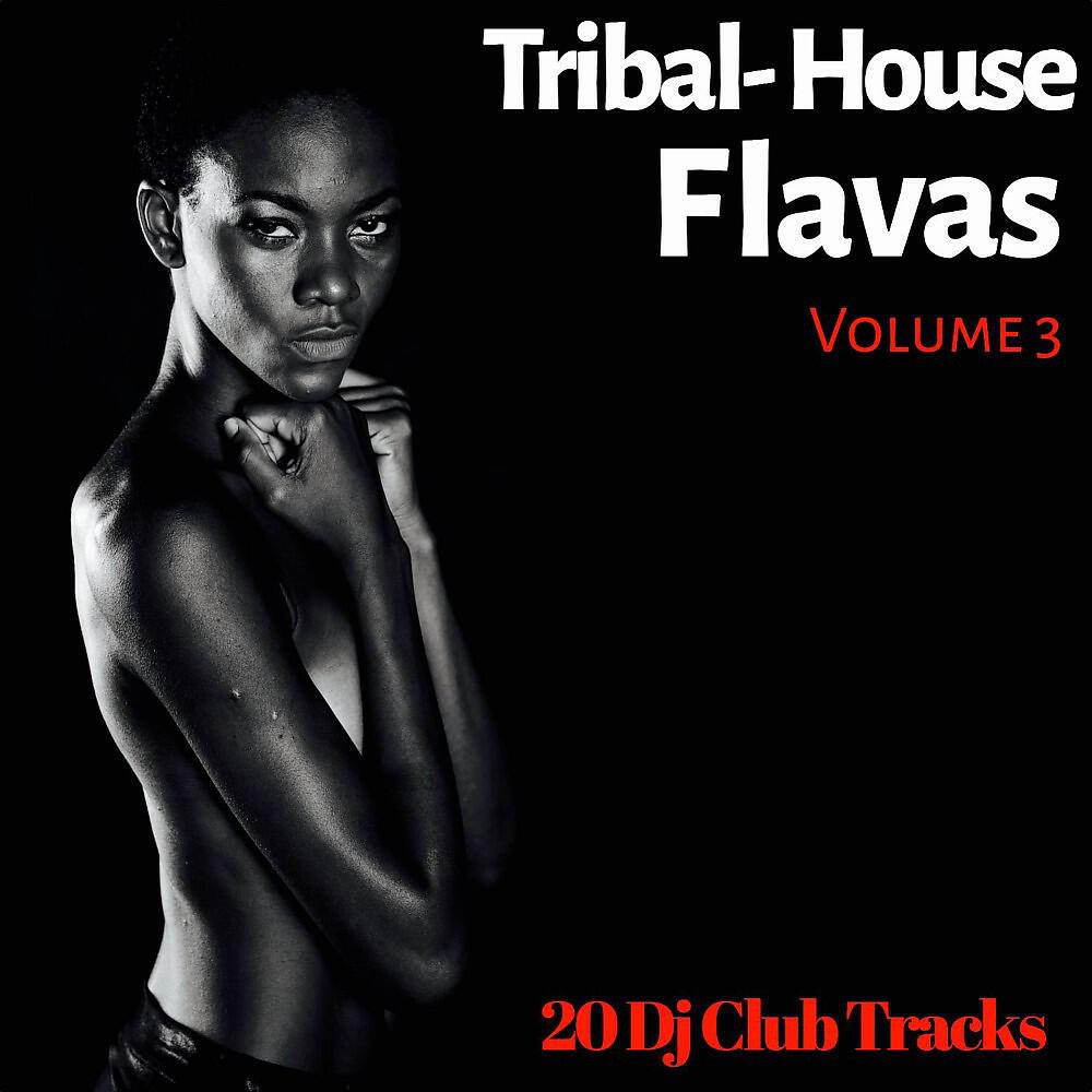 Релиз Tribal House Flavas, Vol. 3 (20 DJ Club Tracks)