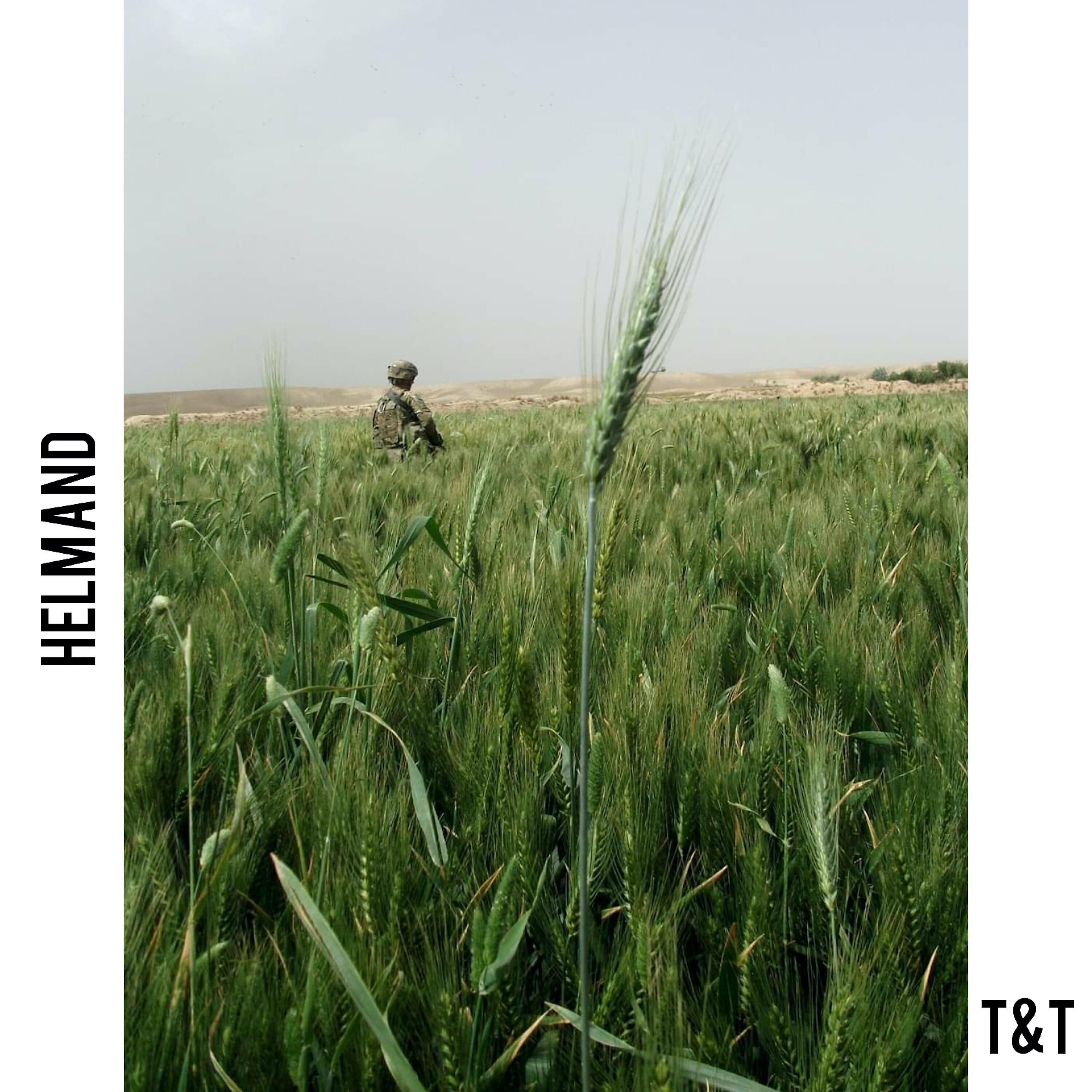 Релиз Helmand