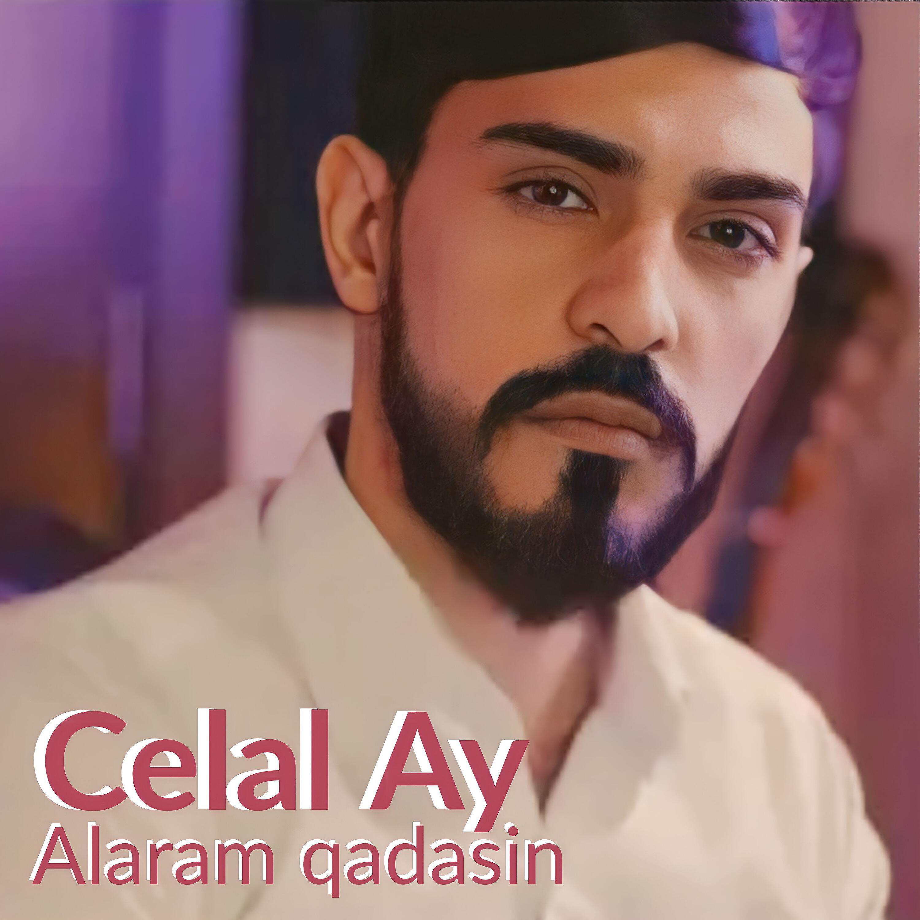 Celal Ay