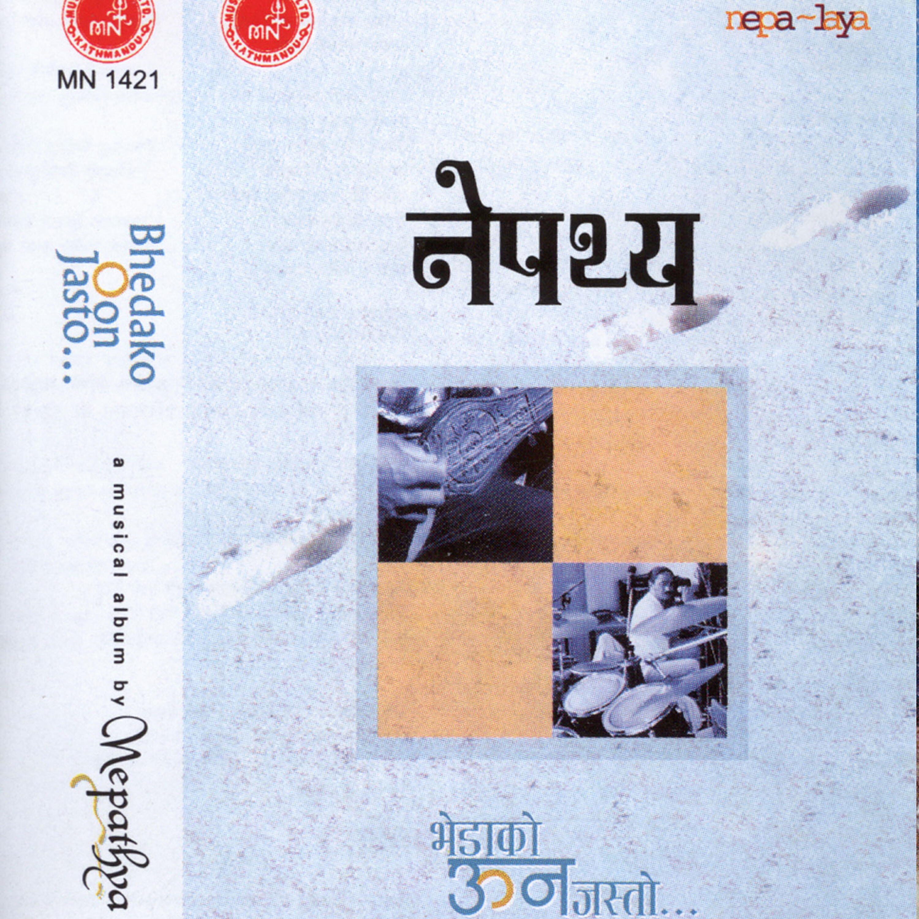 Релиз Nepathya