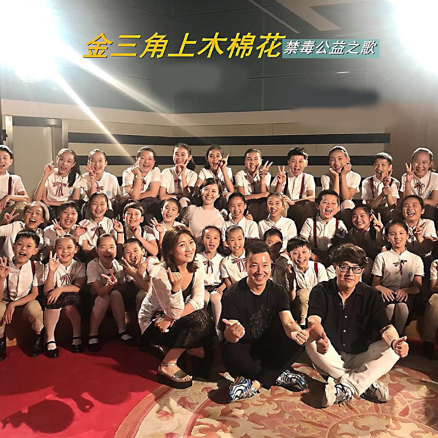 Релиз 金三角上木棉花