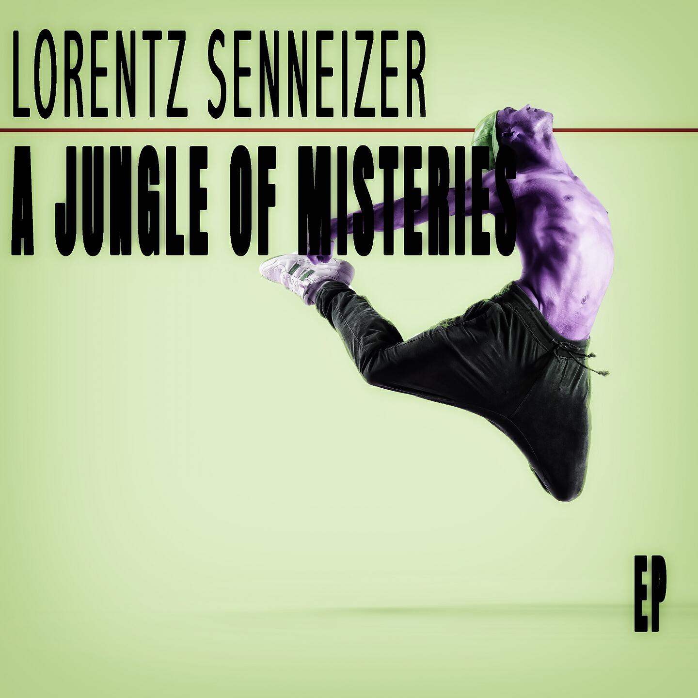 Lorentz Senneizer