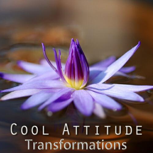Релиз Cool Attitude: Transformations