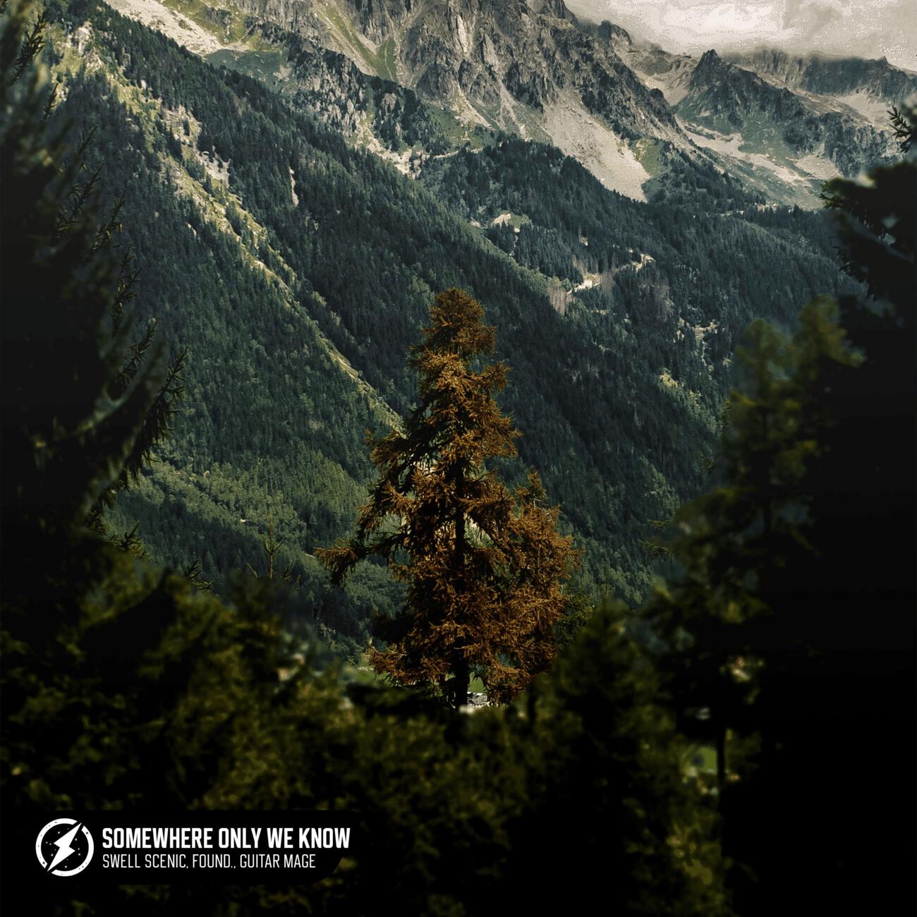 Swell Scenic, found., Guitar Mage - Somewhere Only We Know (Acoustic)