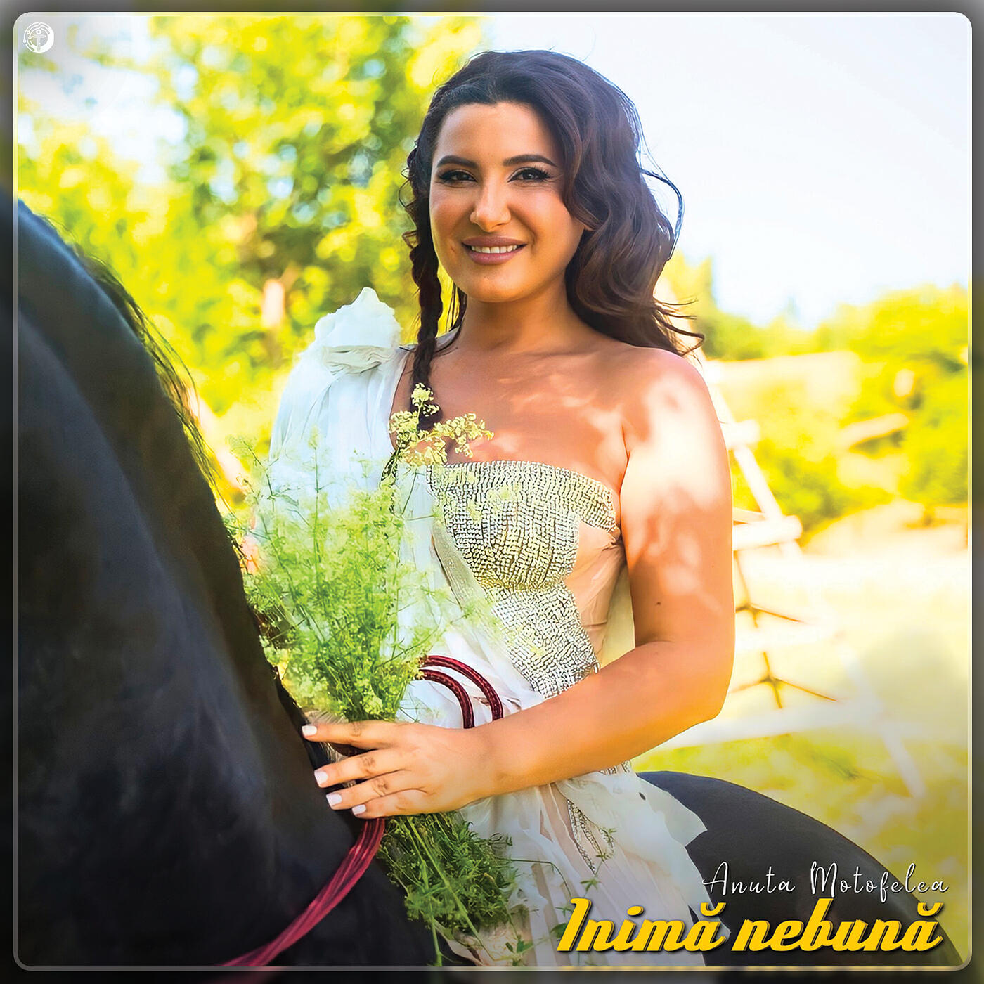 Релиз Inimă Nebună